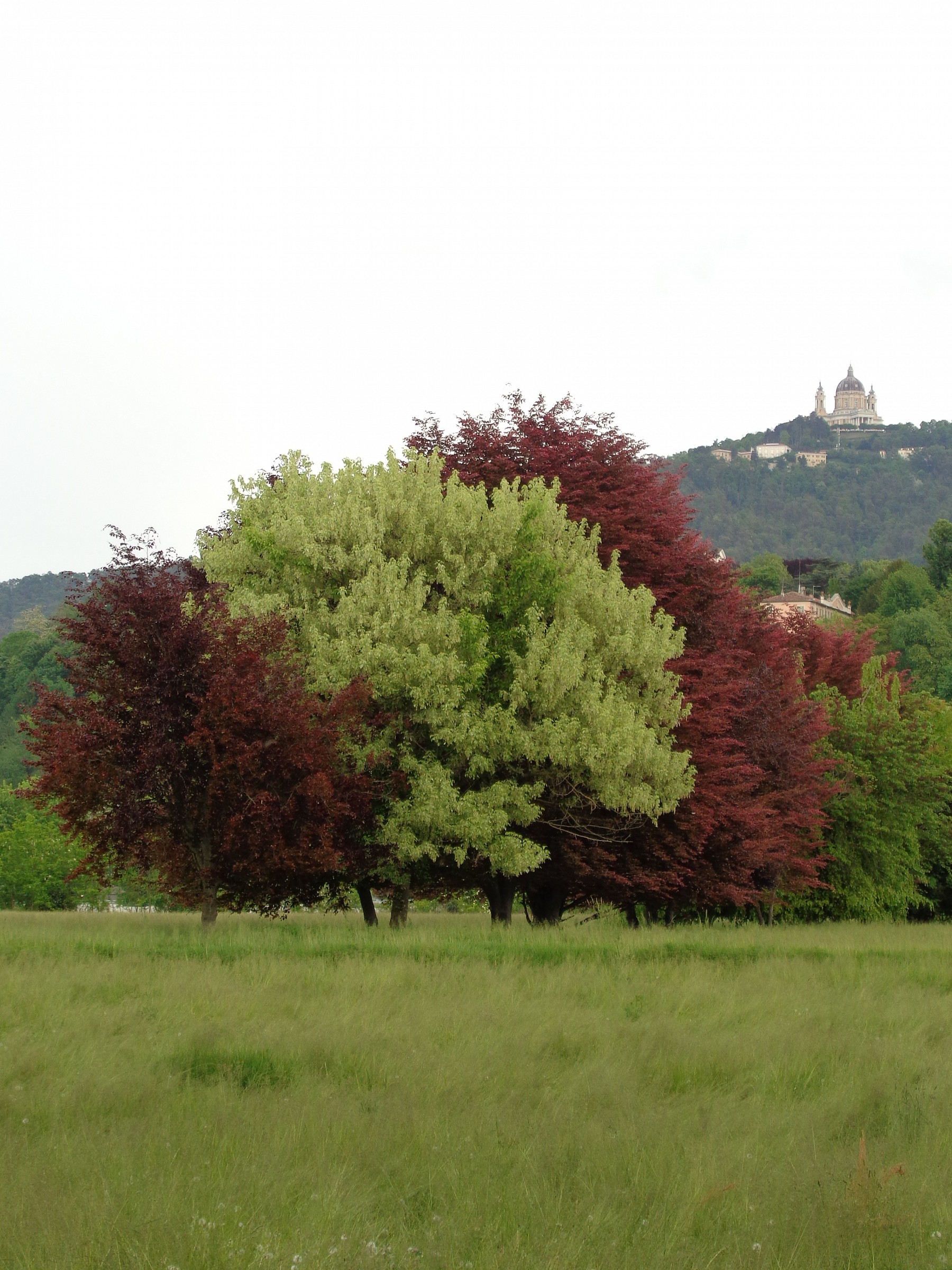 Primavera a Torino