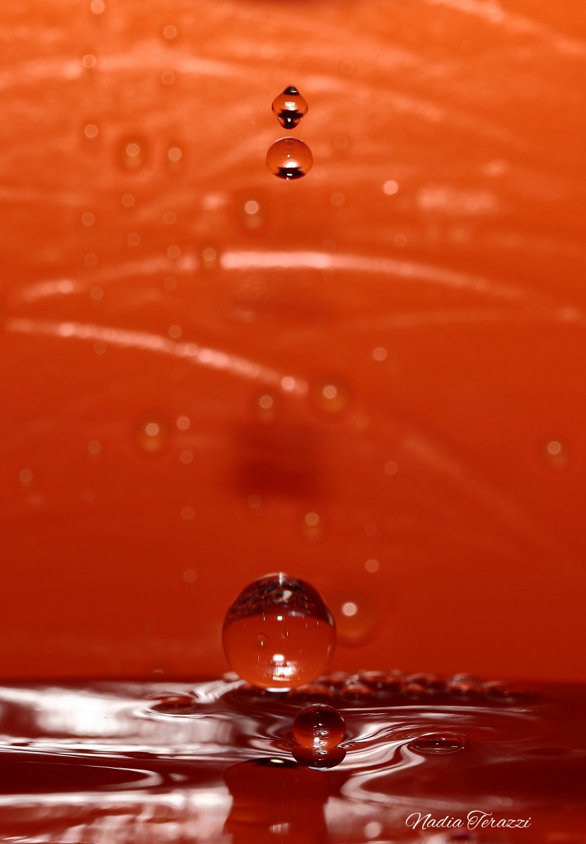 drops from beginners ....