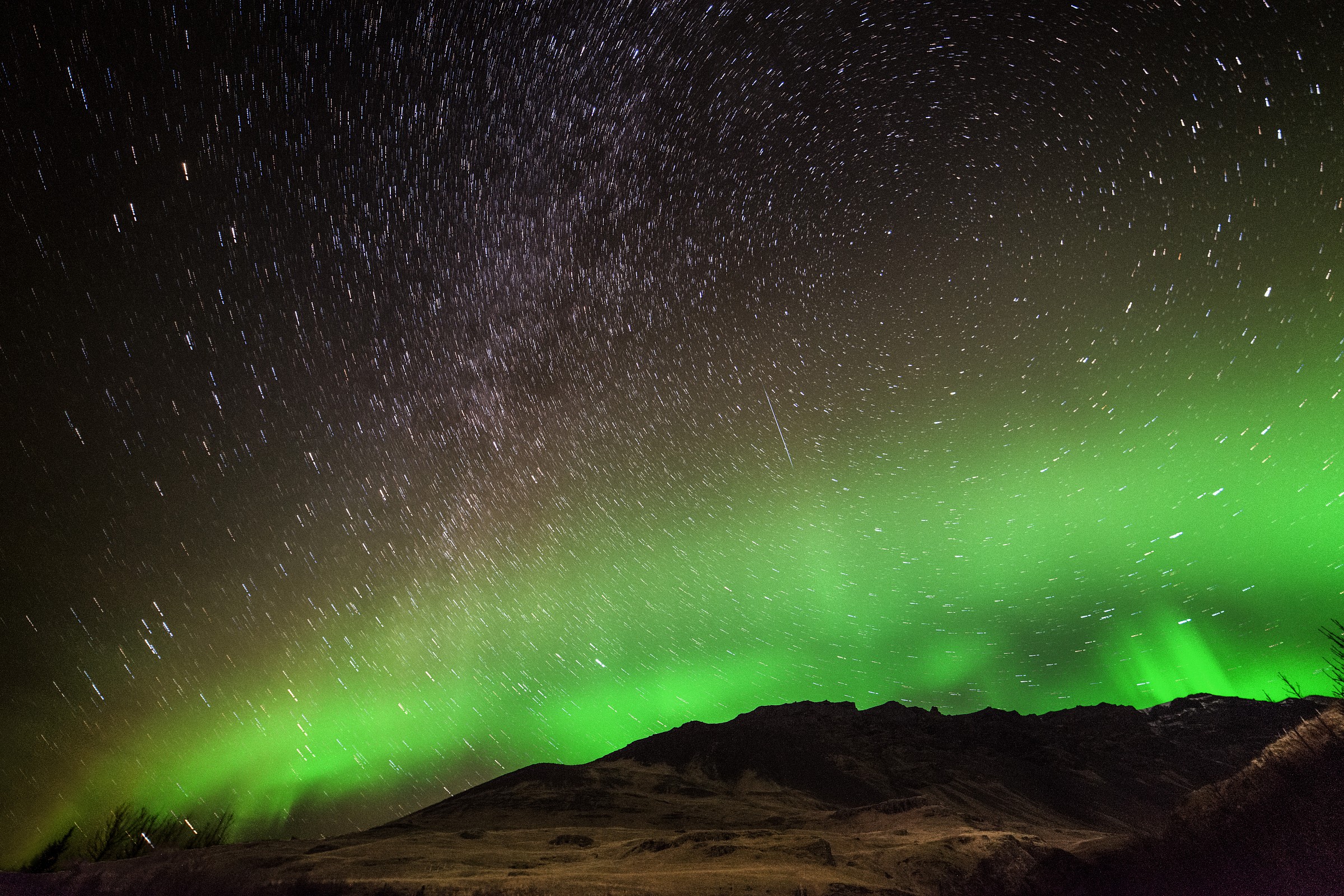 the celestial beauties