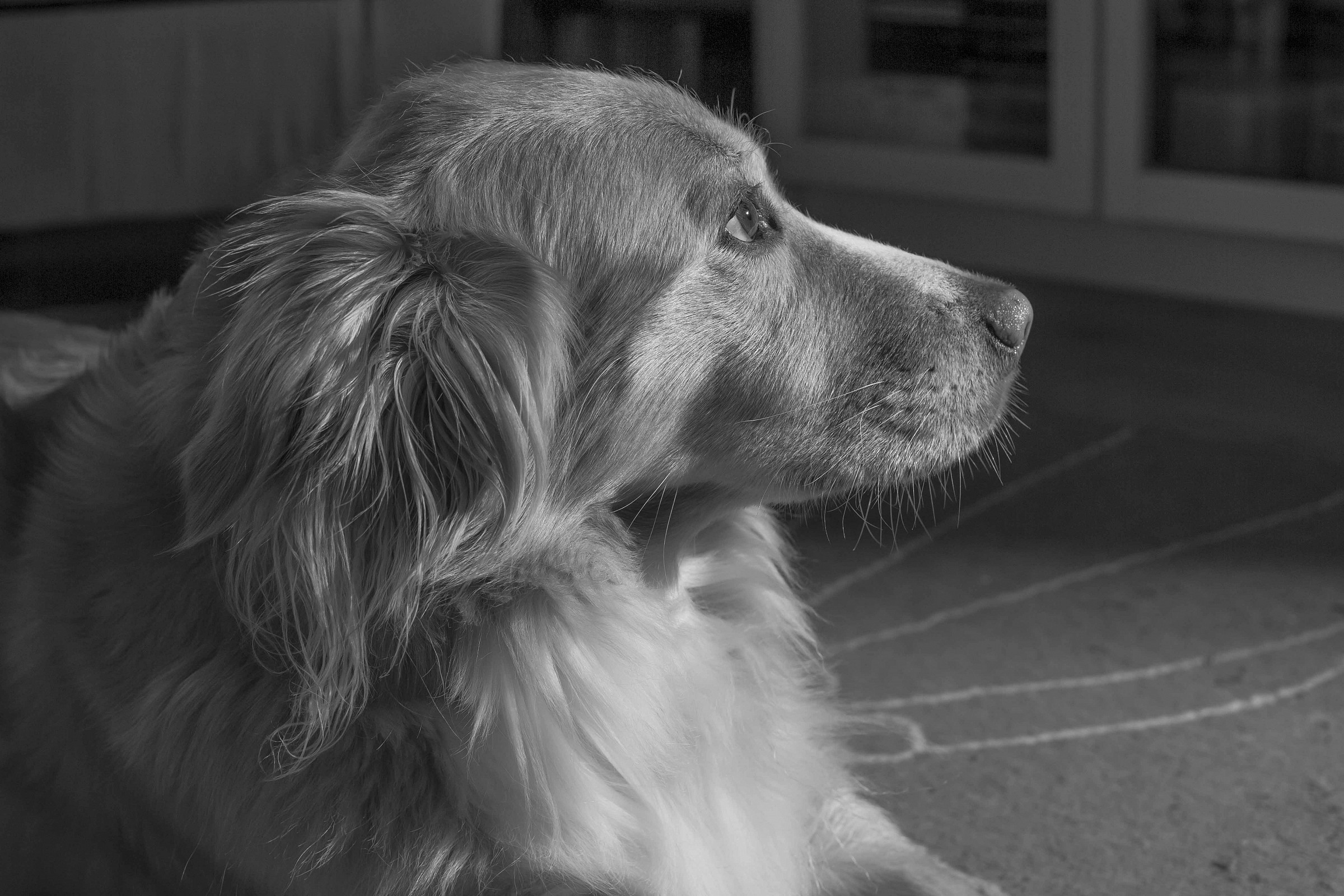 Cleo  (eos m non mi sembra così scarsa)