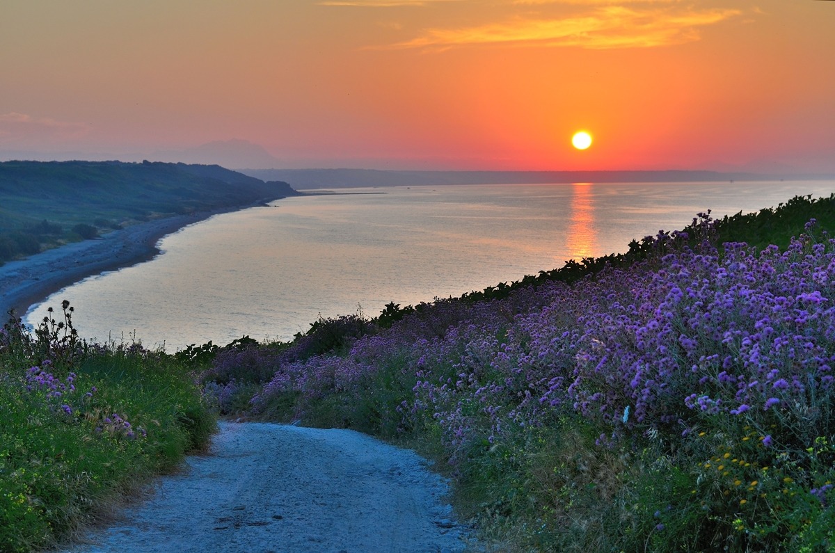 Grigio,Rosso e Viola