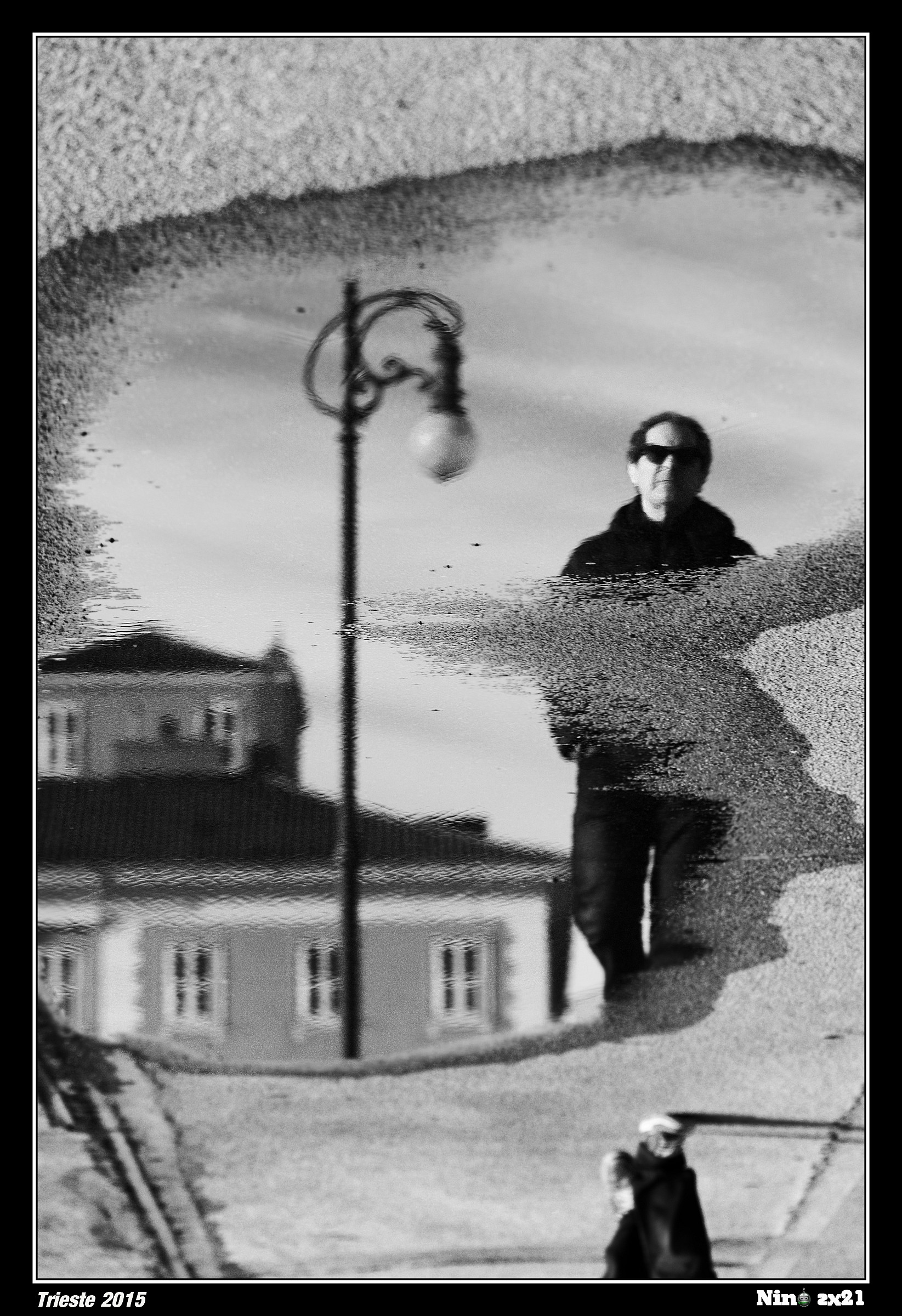 Riflessi di una pozza