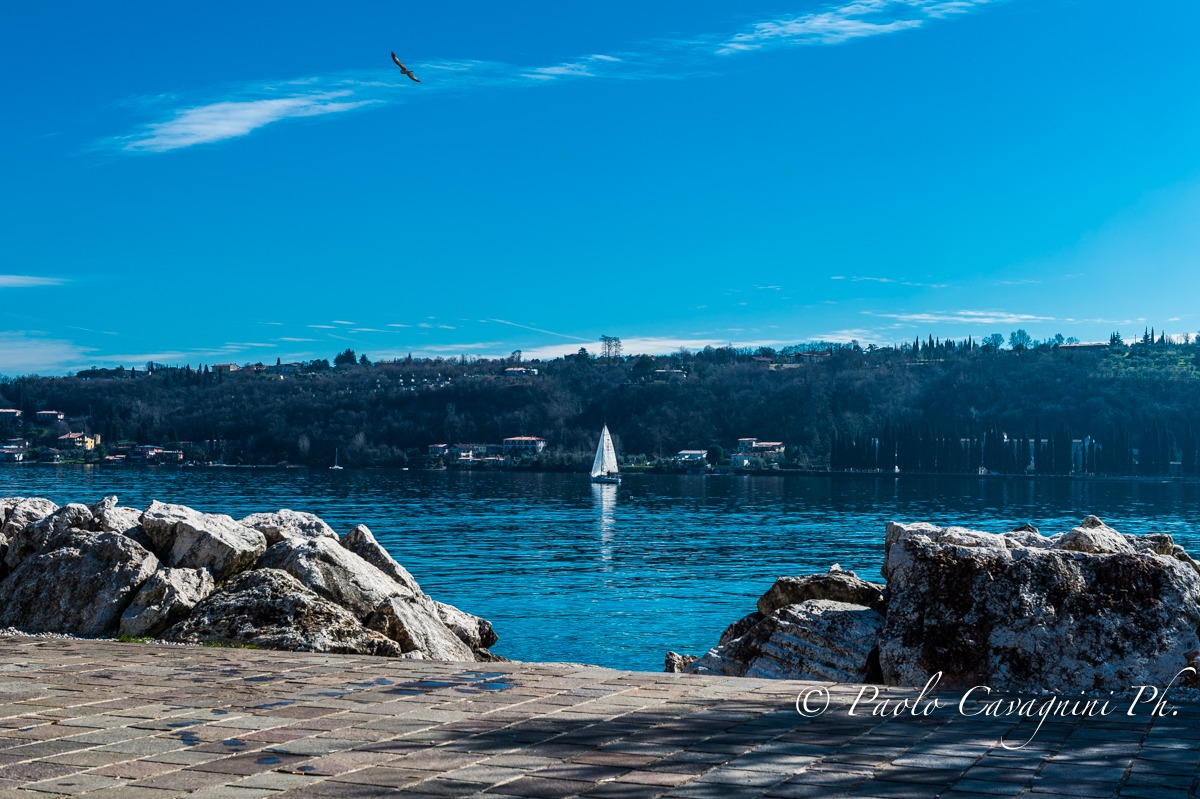 In vela con un amico