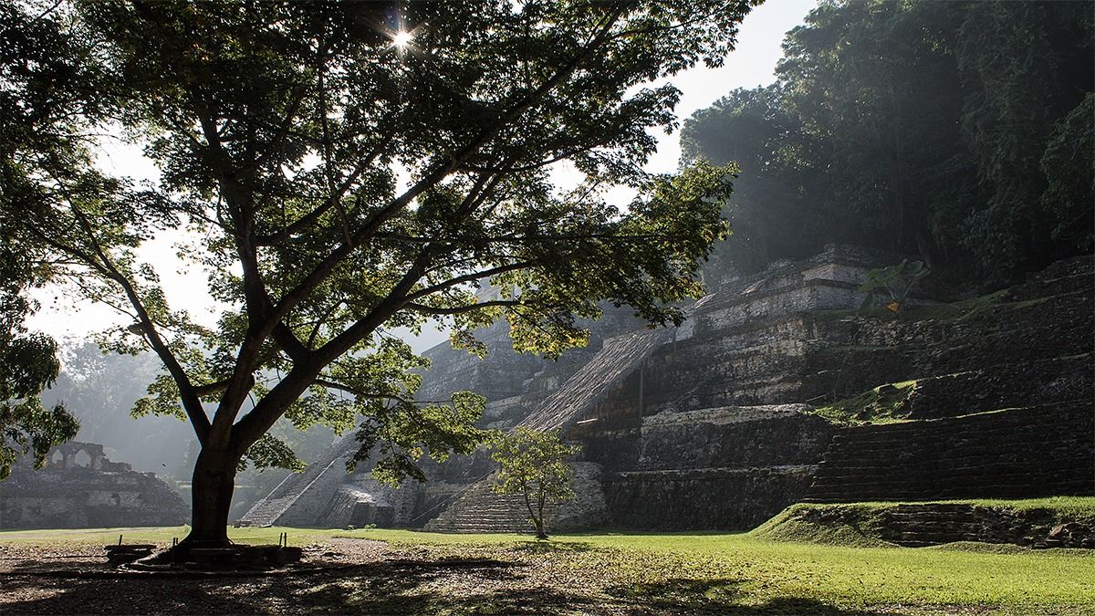 In the jungle of Carretera Palenque
