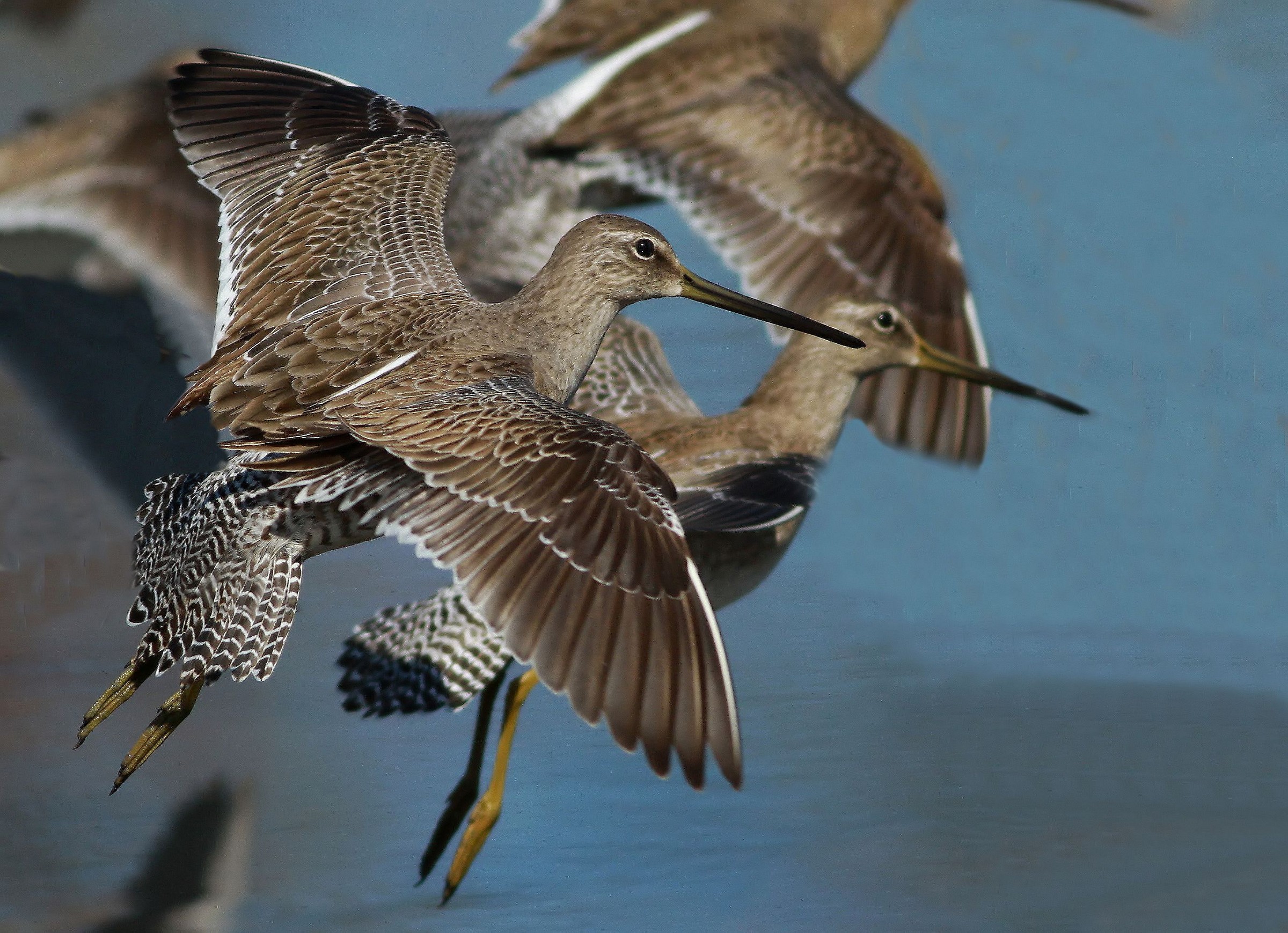 Standing Out From The Crowd