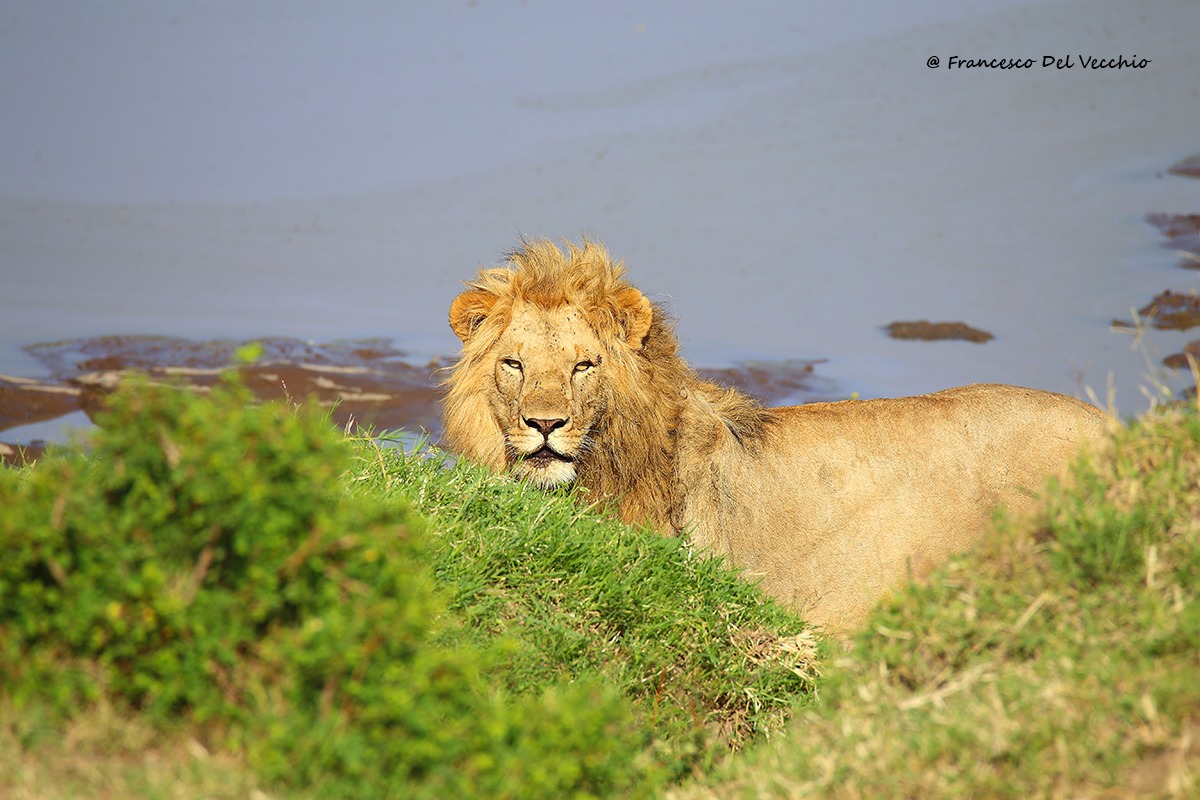 Watching me, watching you