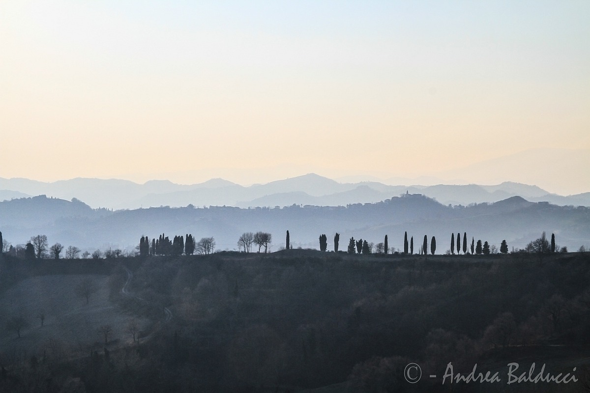 castel cavallino - urbino