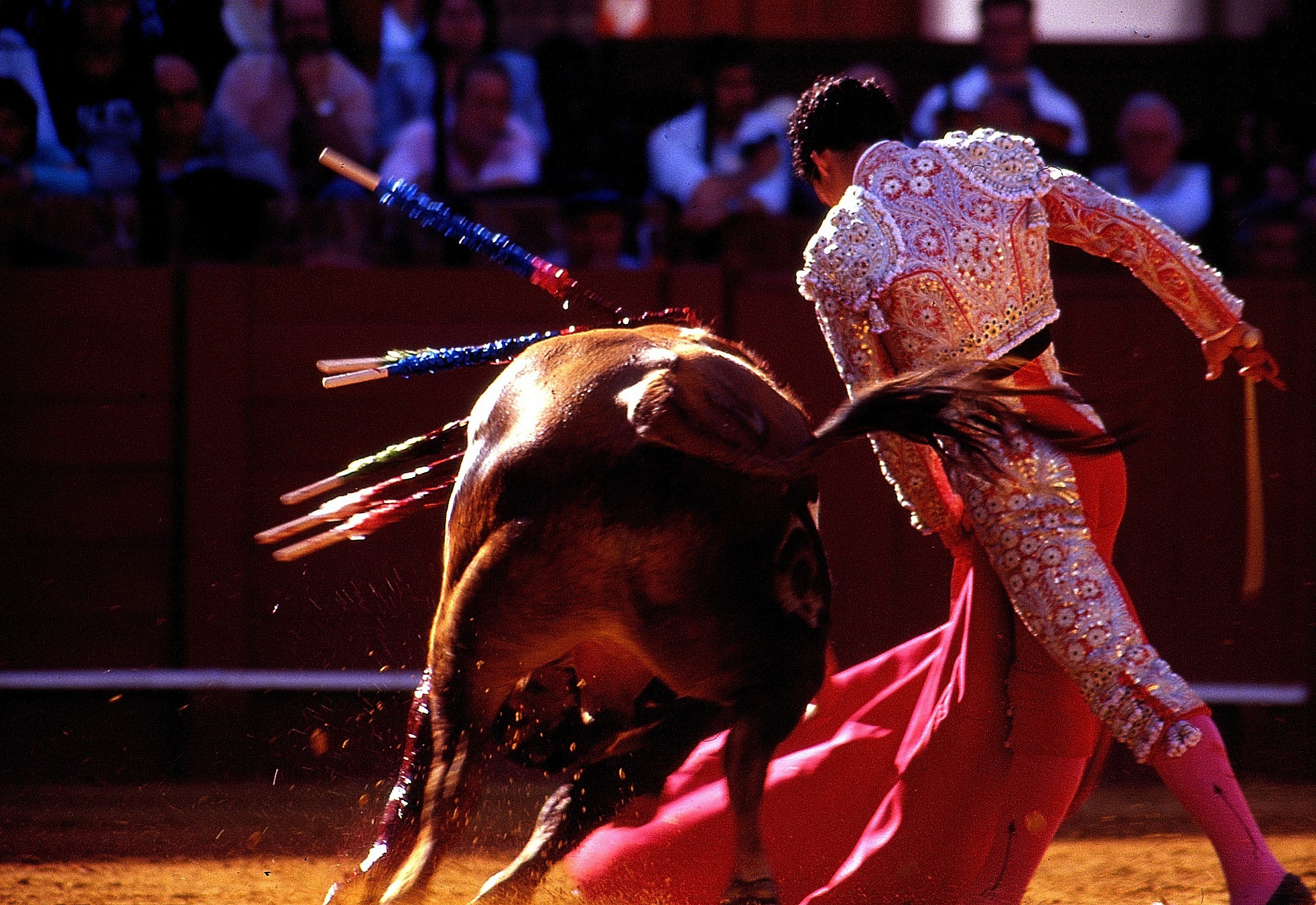 Bullfight in Seville