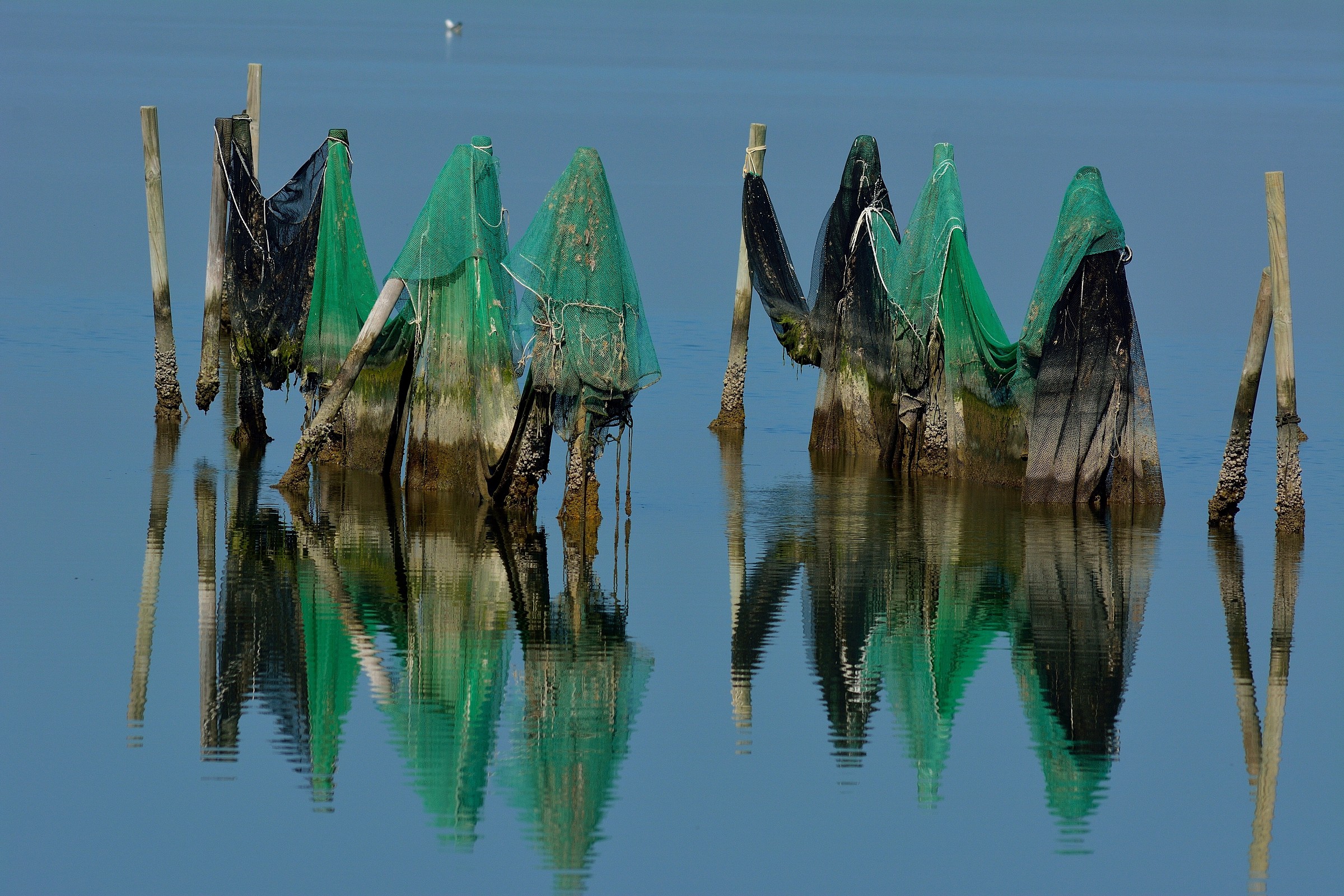 Reflections lagoon ..