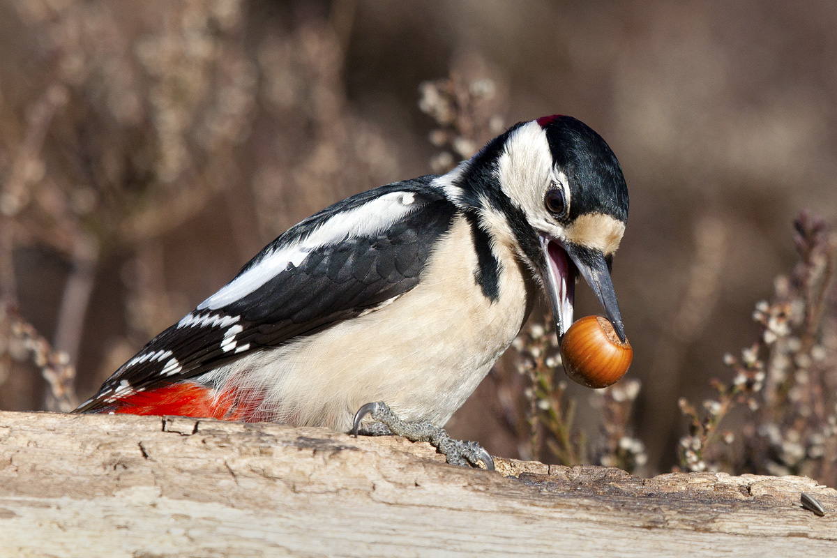 This to me is deserved !!!!!