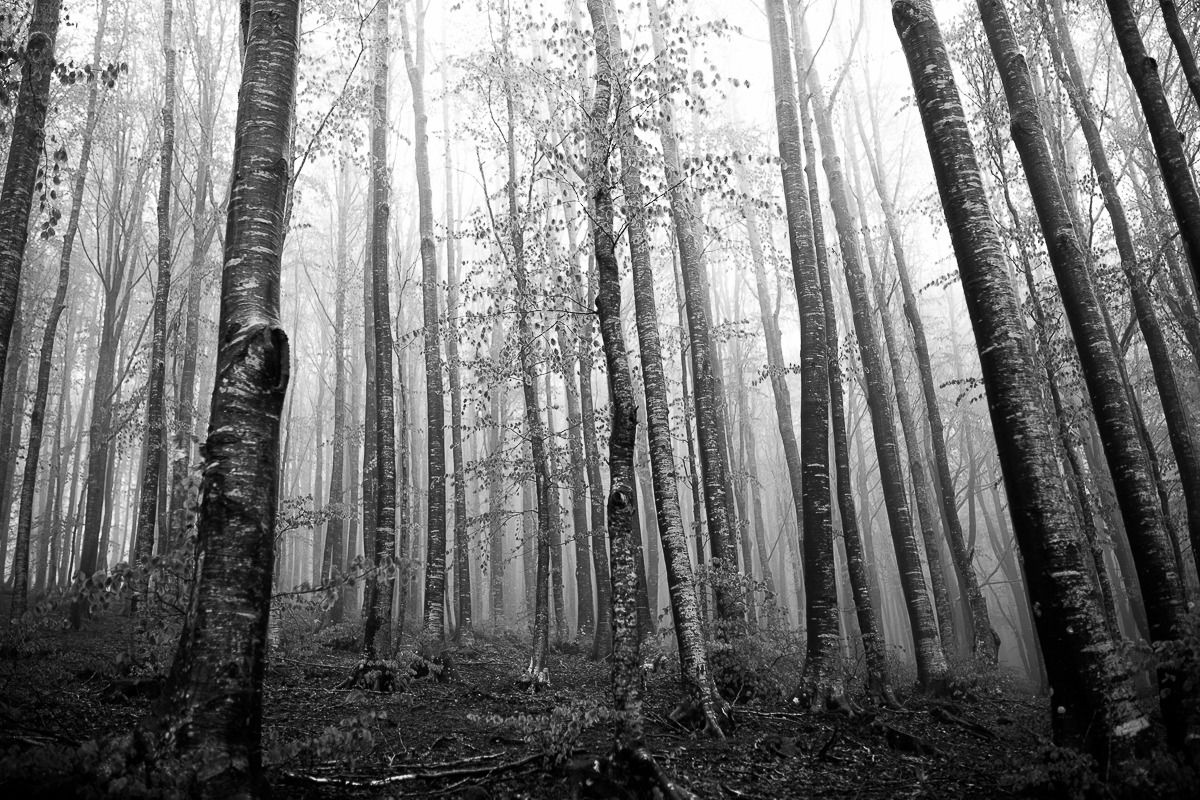 the source of the Tiber