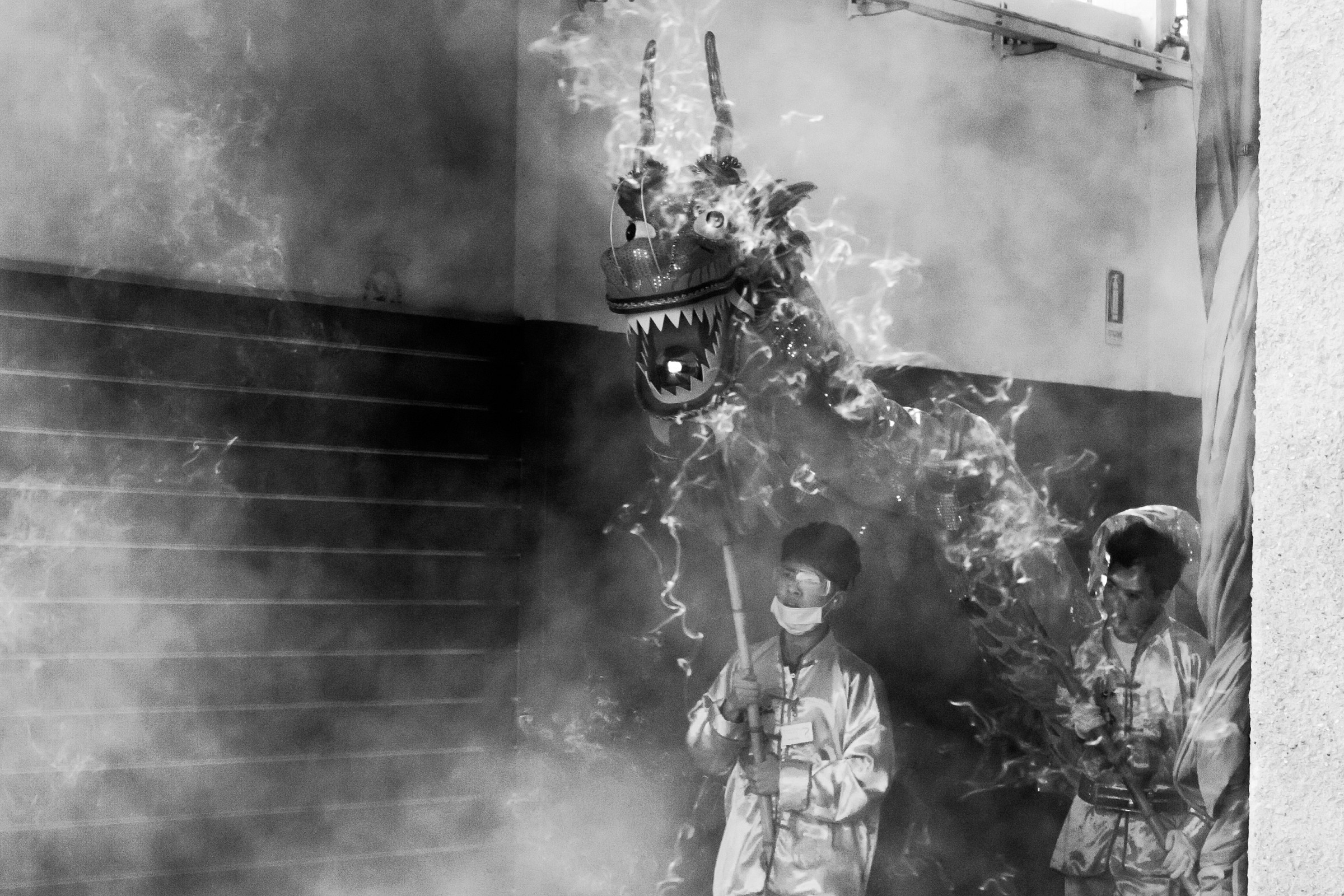 Visit the Dragon Factory