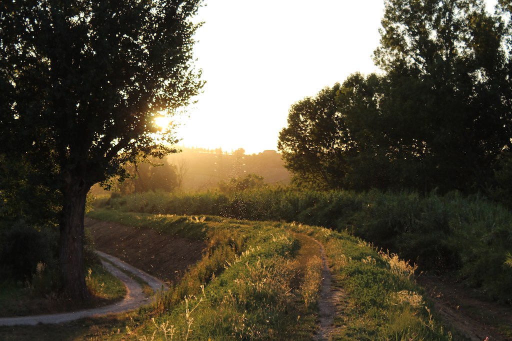 Argine dell'Arno a Avane