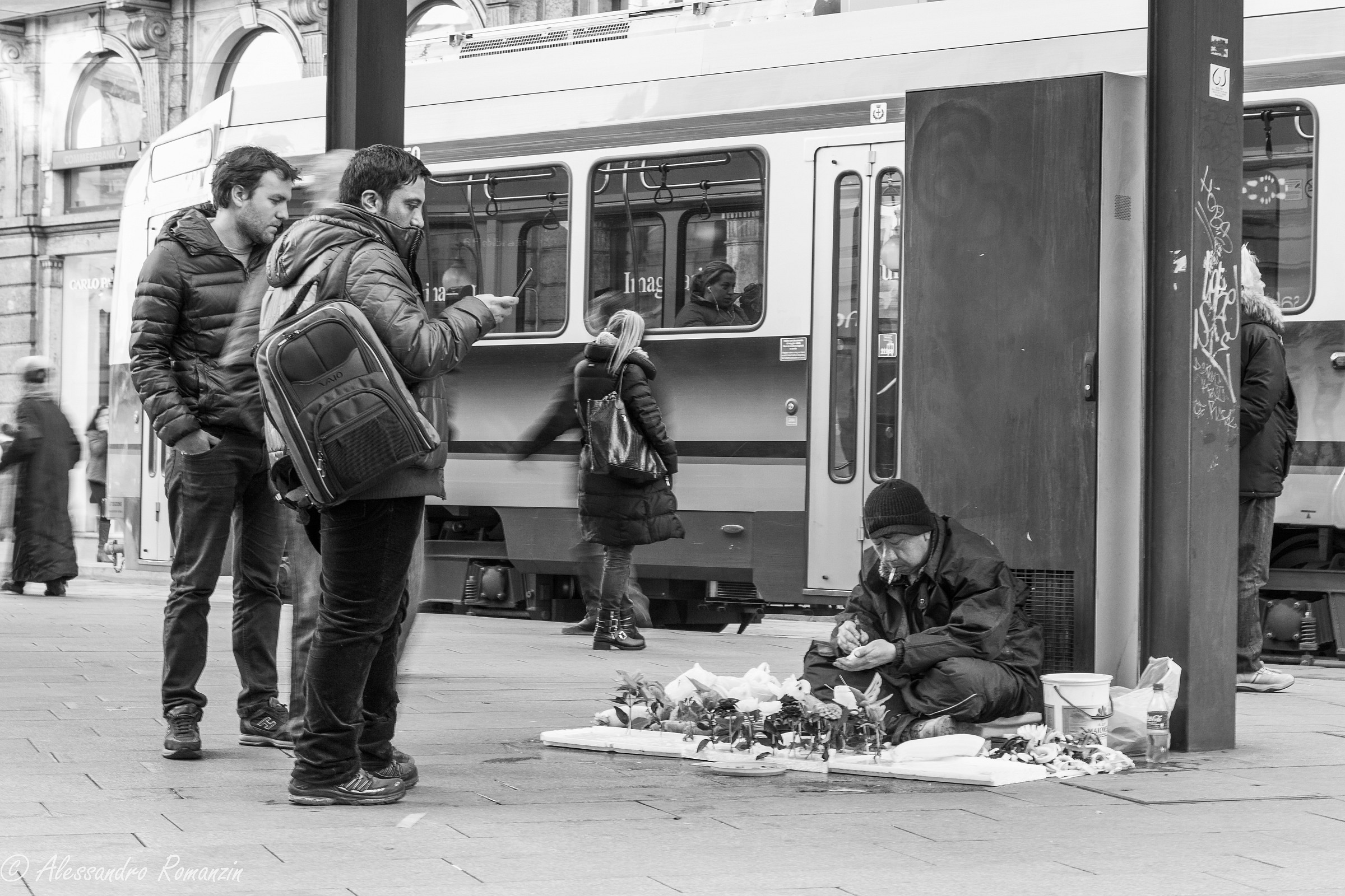 The artist vegetables