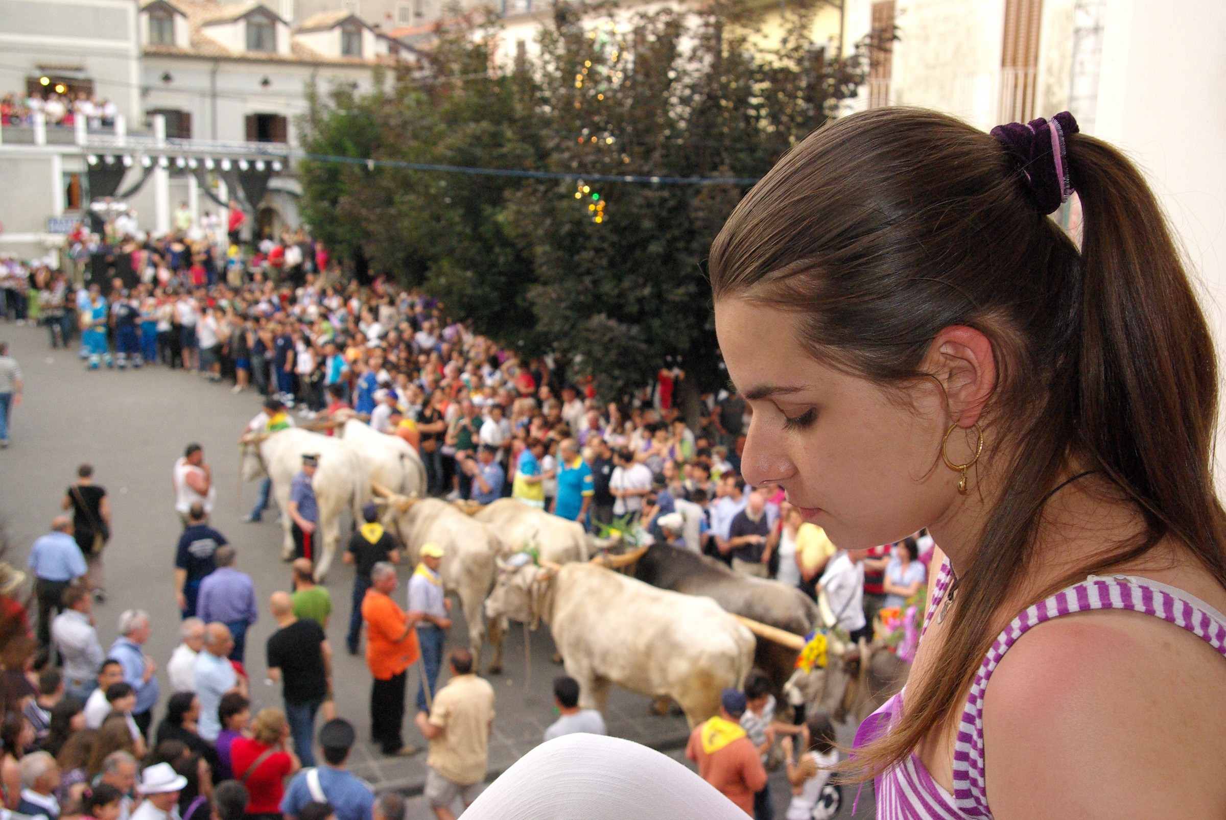 Feast of St. Michael: young spectator.