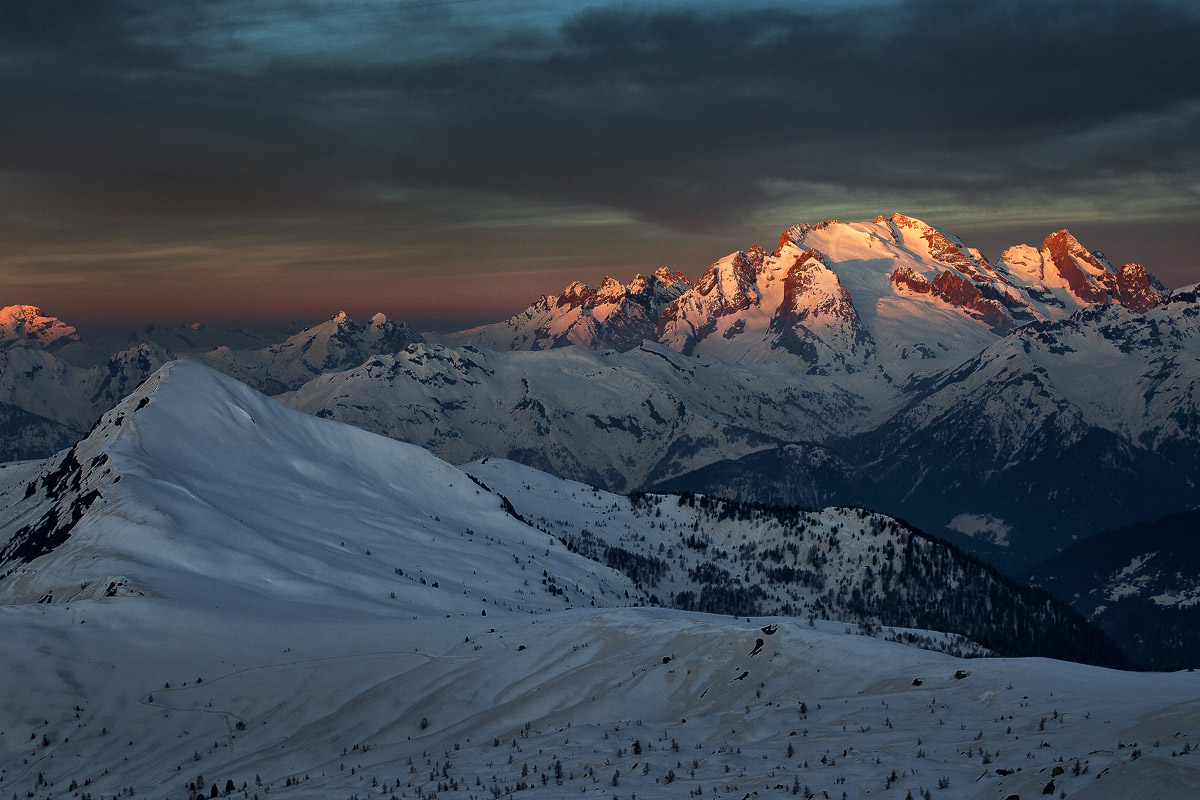 Dino: Greetings from the Queen