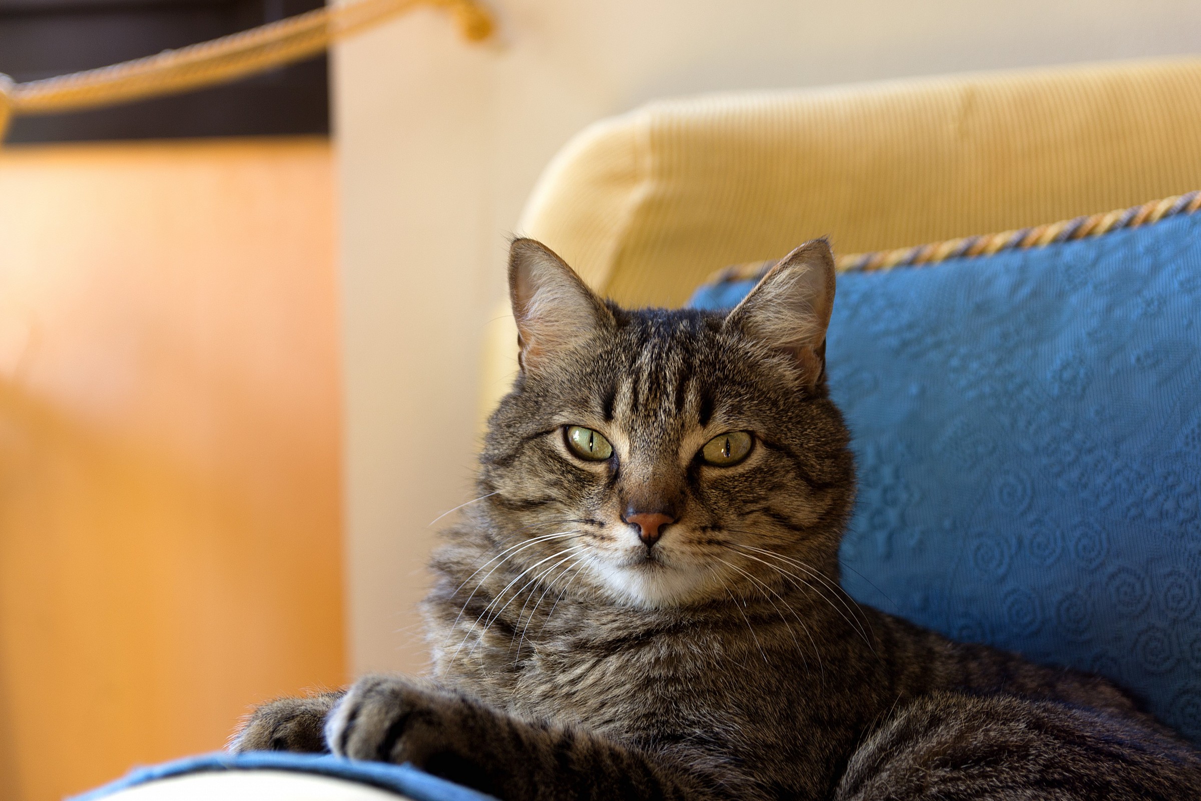 Test with new lens (sketch)