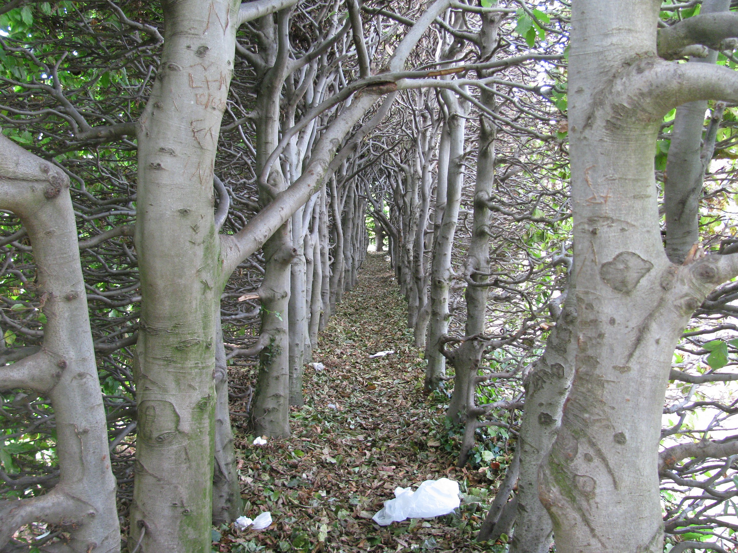 Royal Garden (Copenhagen)