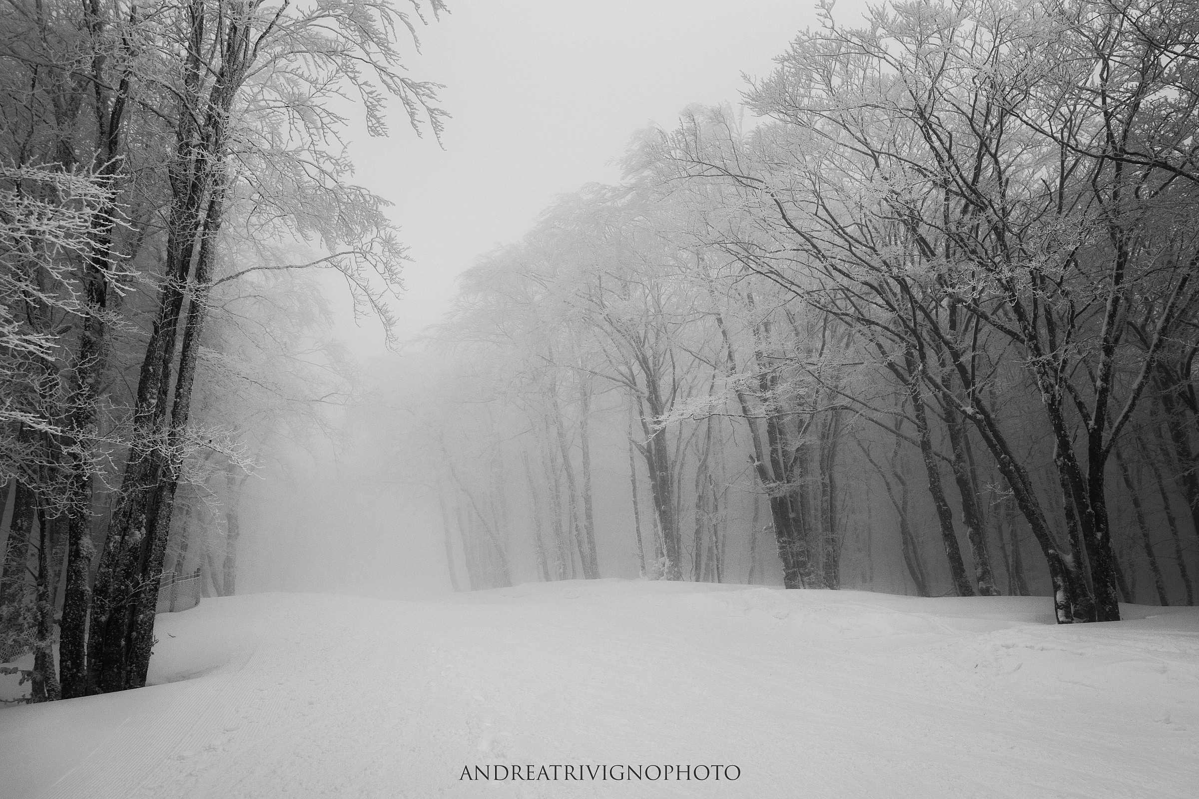 The Sound Of Silence