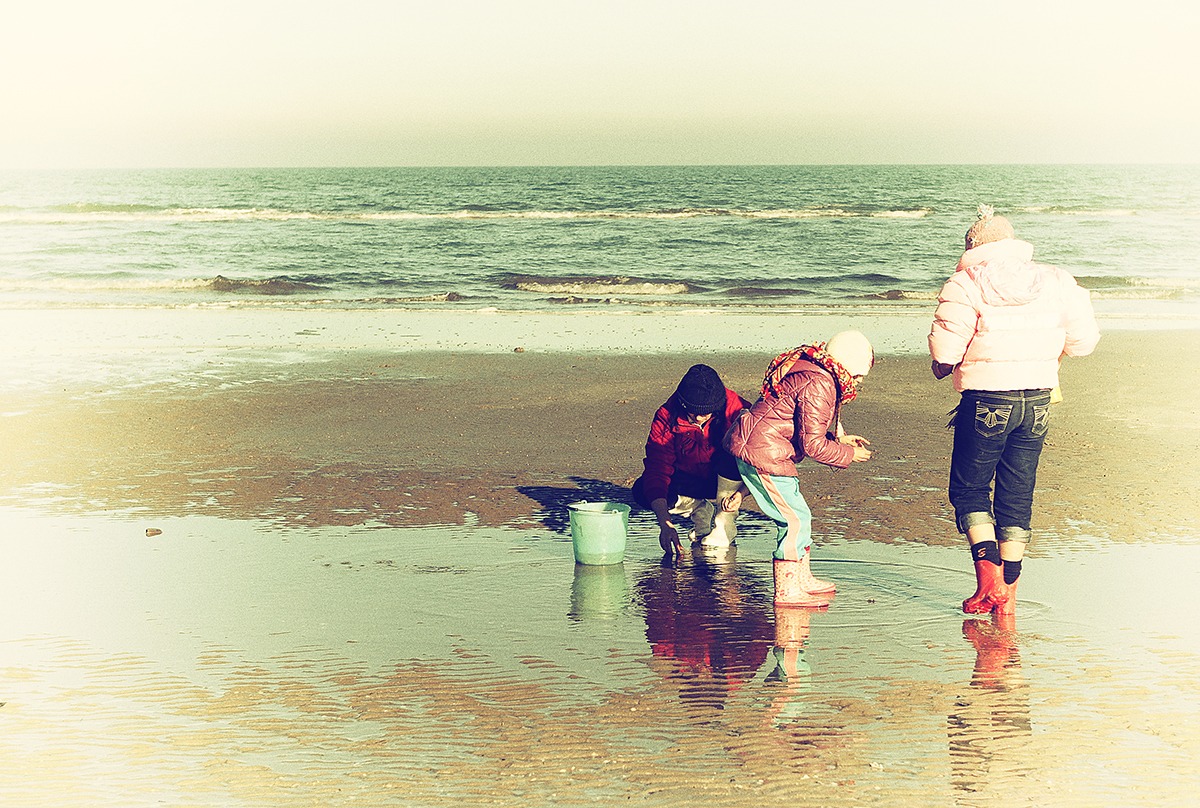 Clams and cockles .... ..