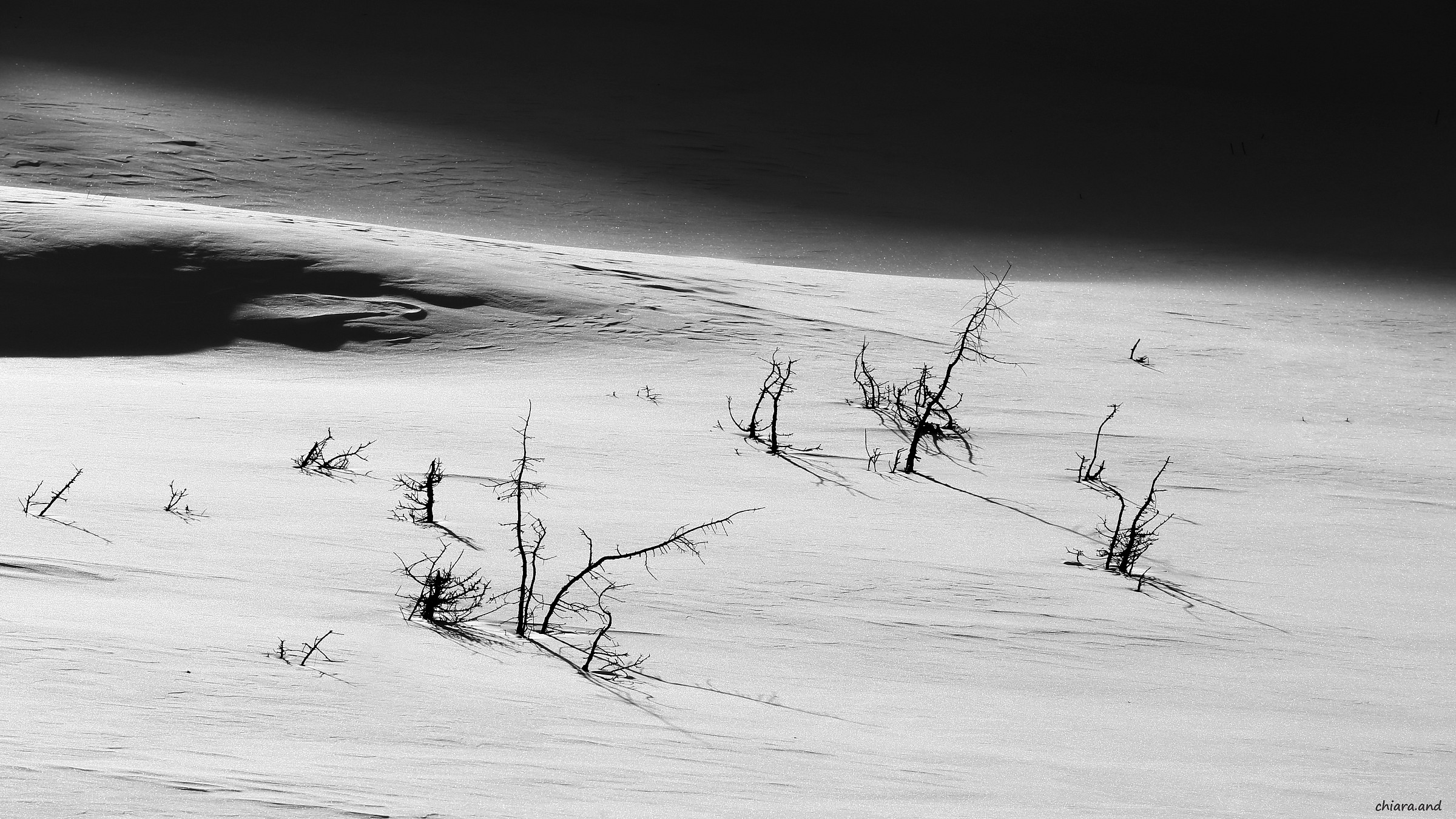 L 'last snow ... and then ..... only green !!!!!