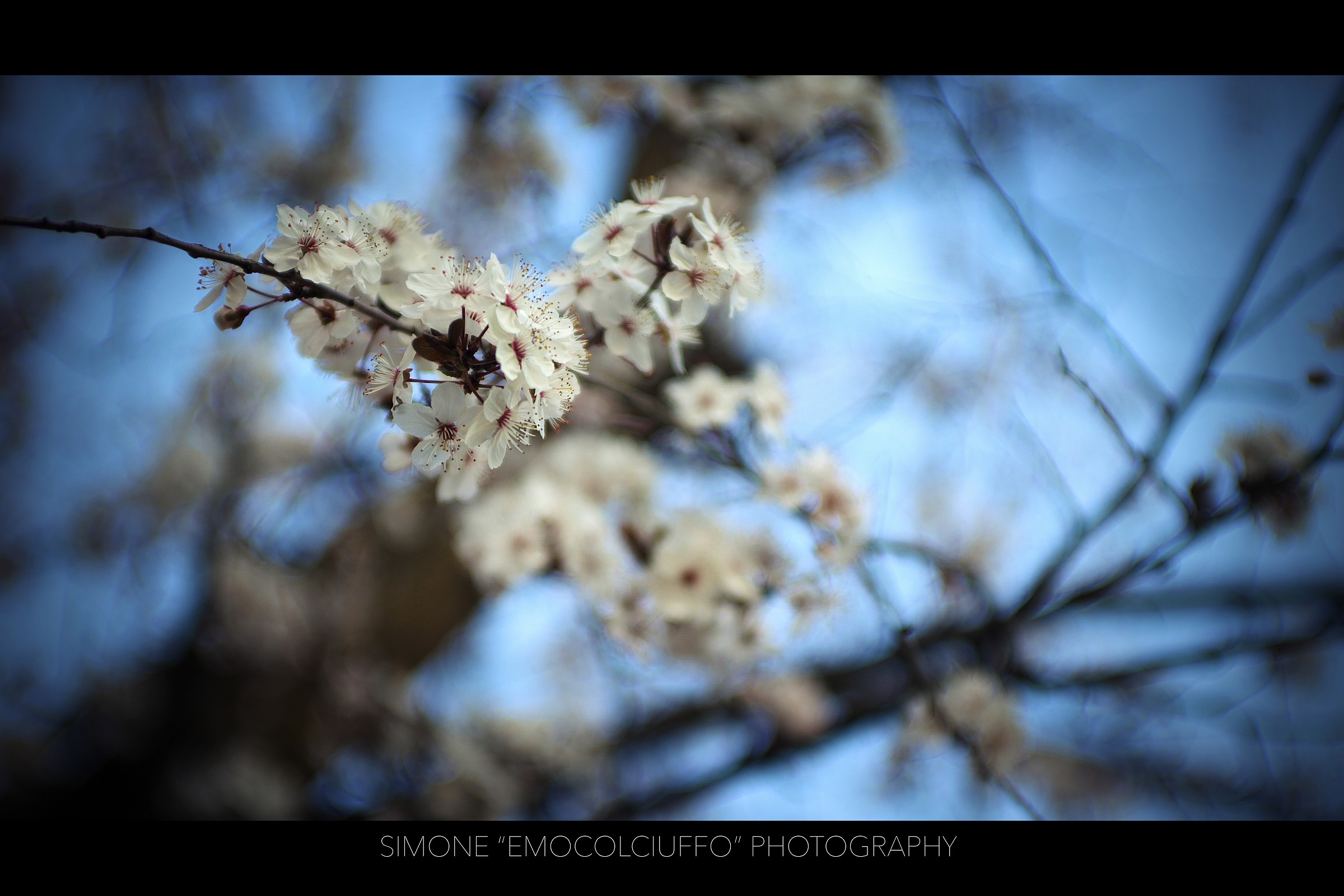 Test Sony a7-II photo n ° 4