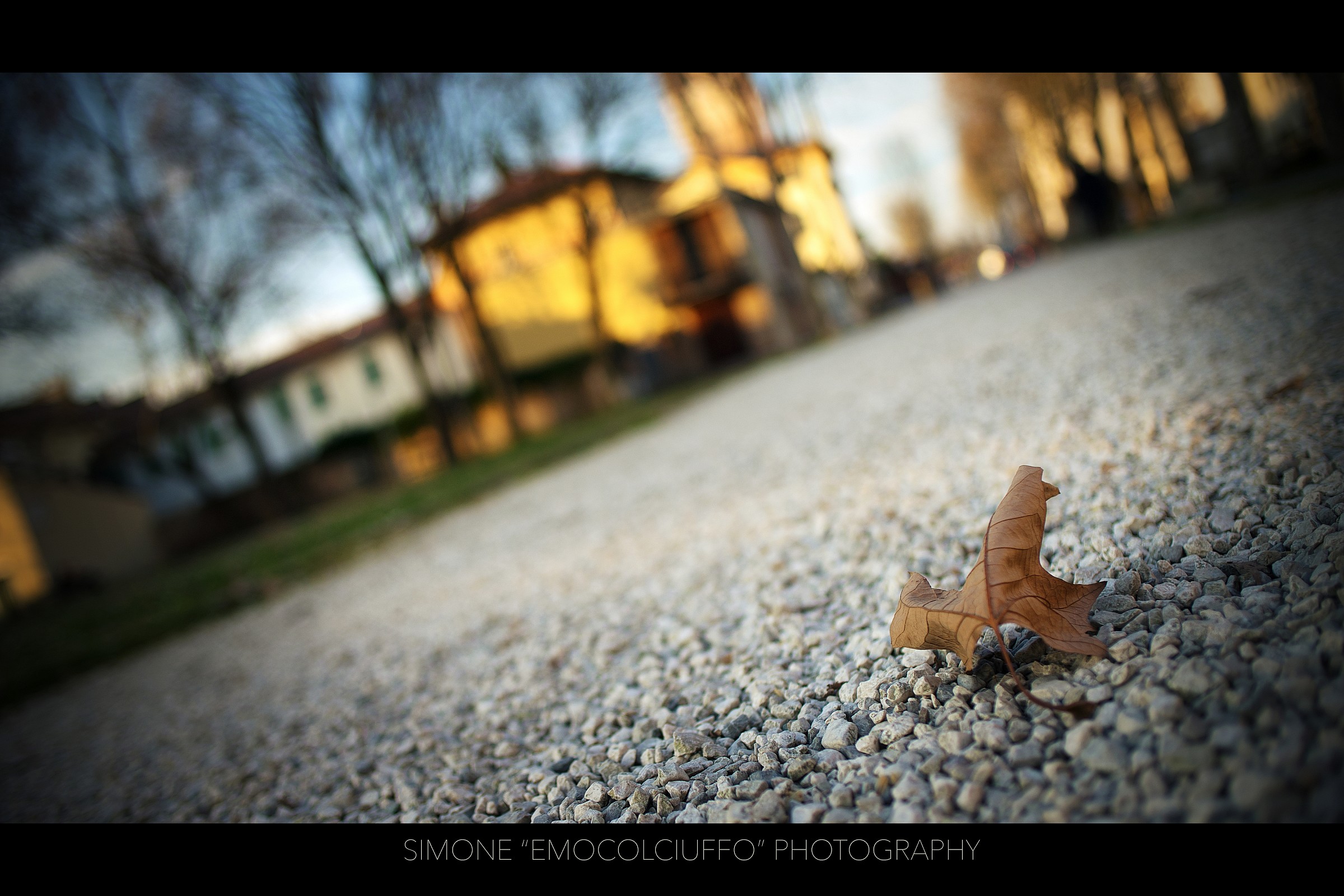 Test Sony a7-II photo No. 7