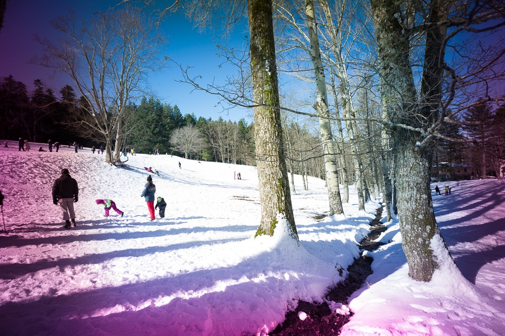 Hologon 16 f8 Zeiss + Leica M9