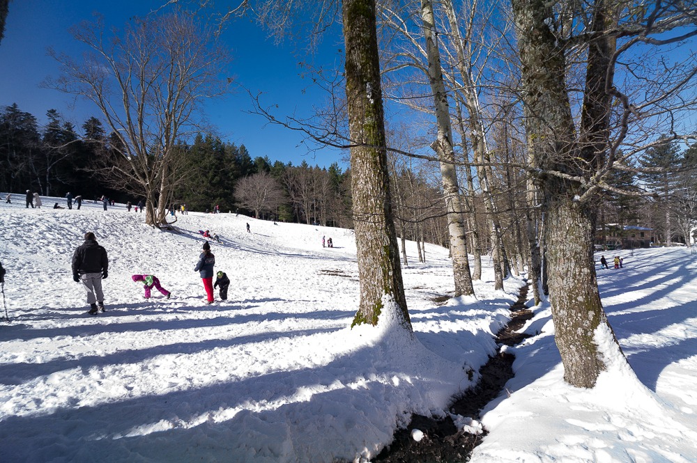 Hologon 16 + f8 Zeiss Leica M9 + Flat Field