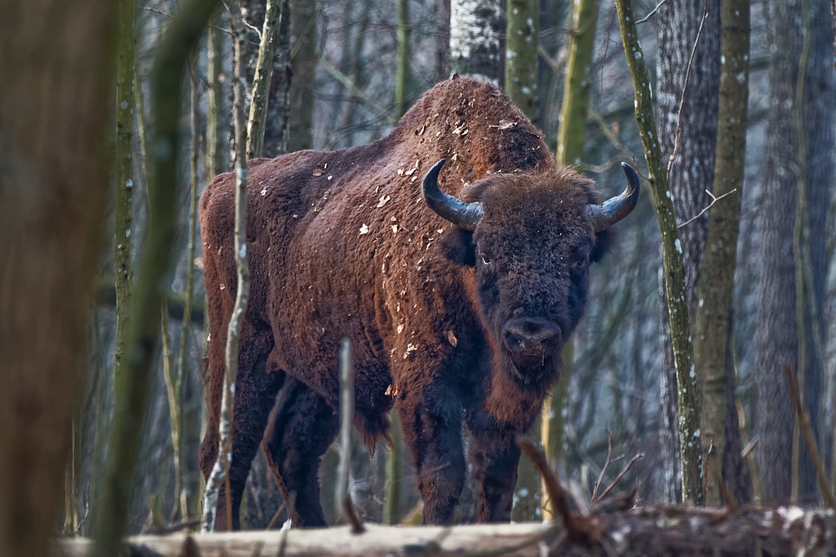 A breve distanza....