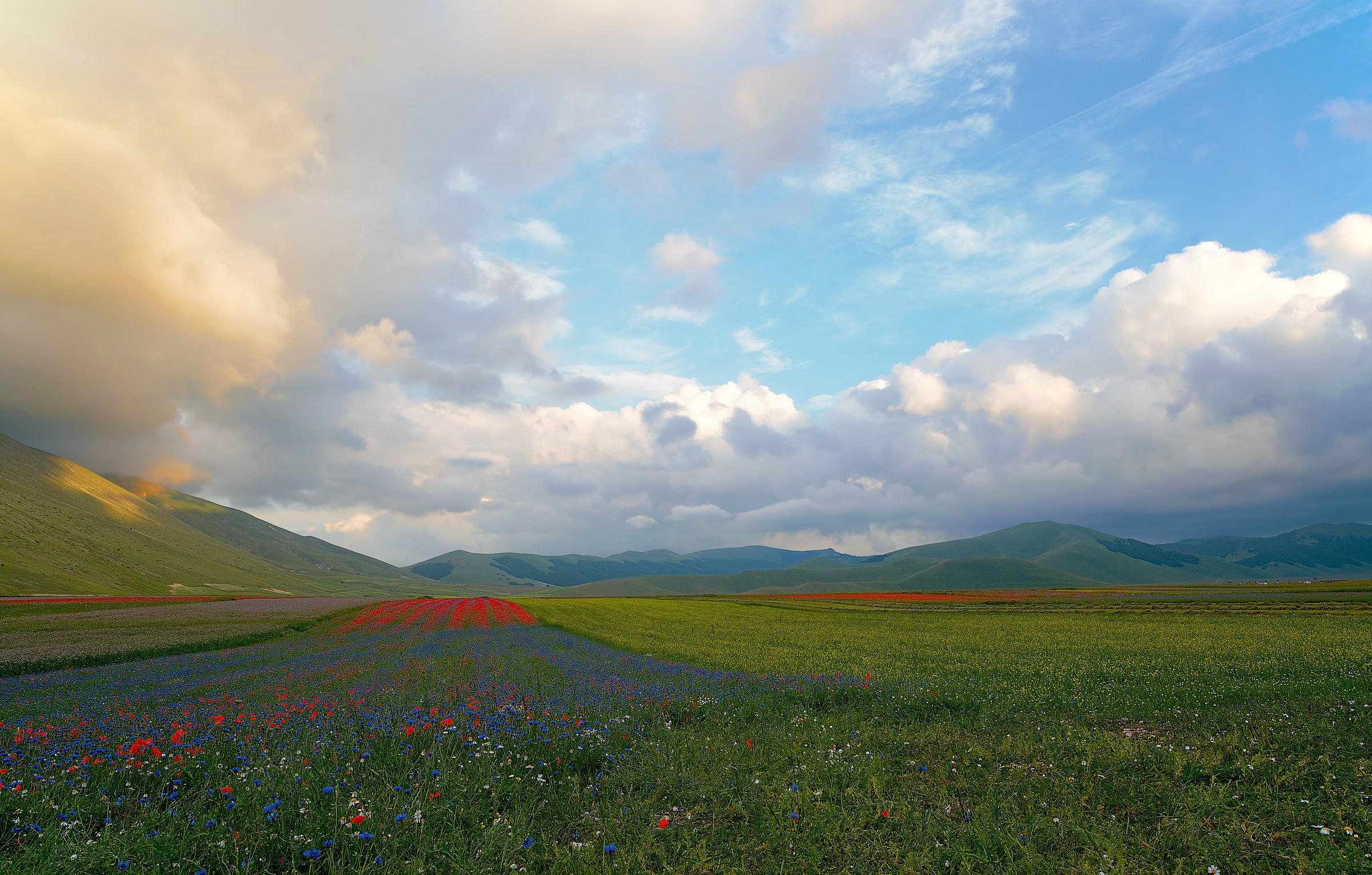 The nature, its colors