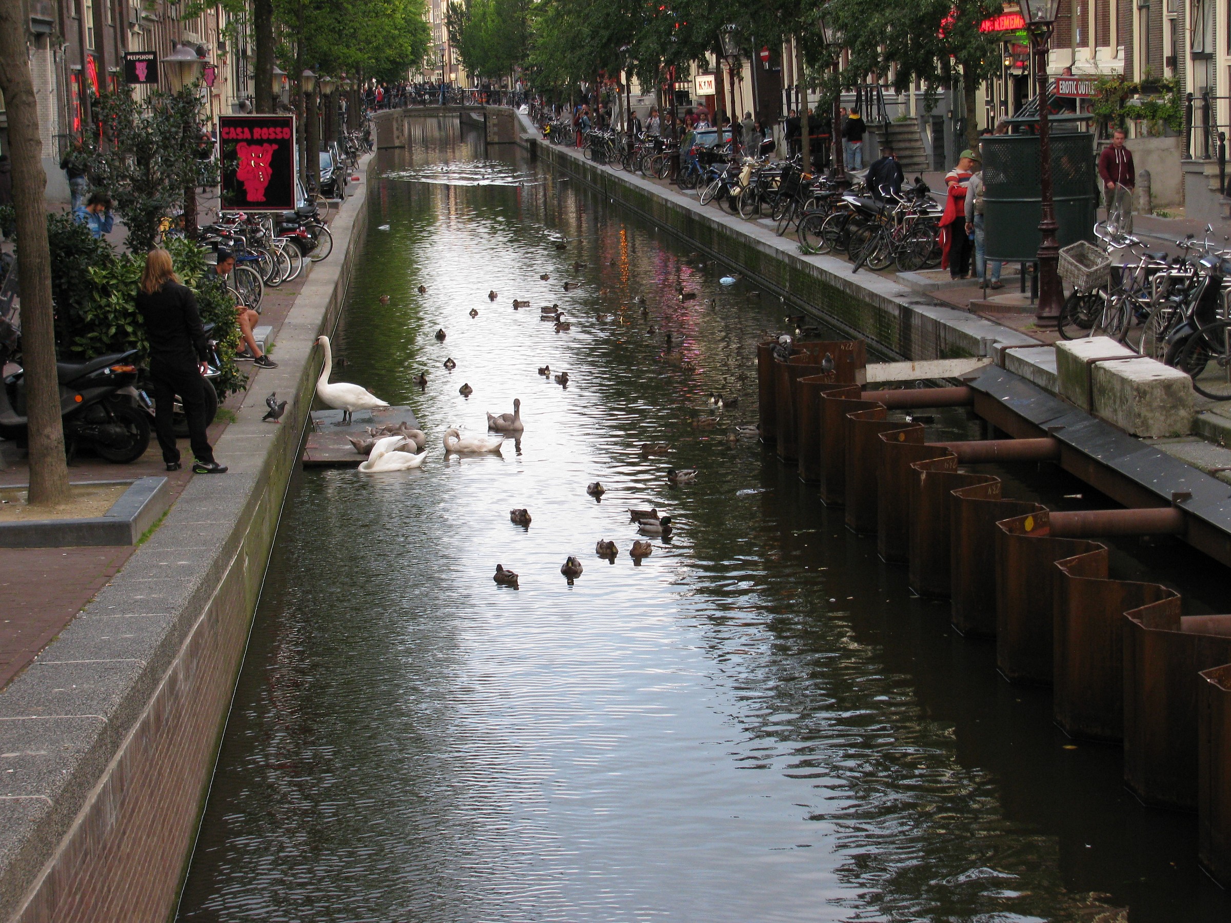 Amsterda (Netherlands) Channel