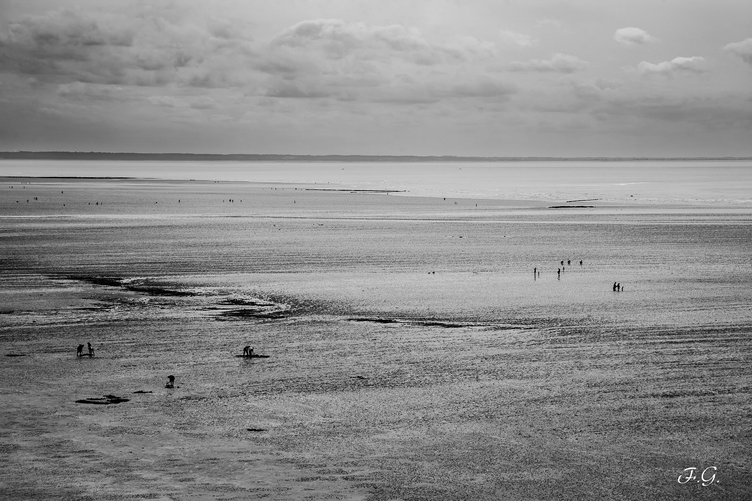 Ostriche e Champagne