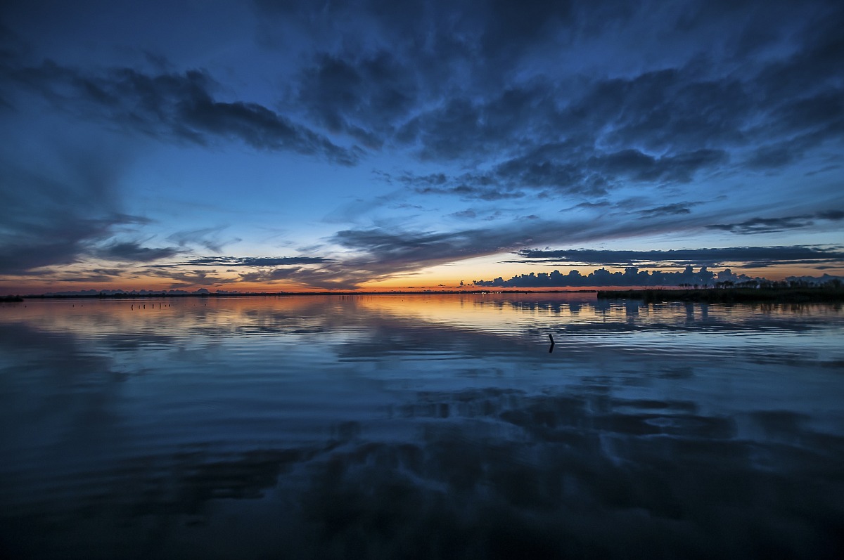 Momento blu sul Massaciuccoli.