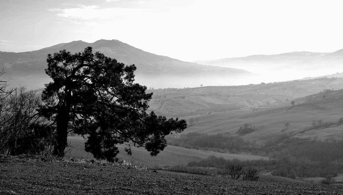 Inchino al Paesaggio