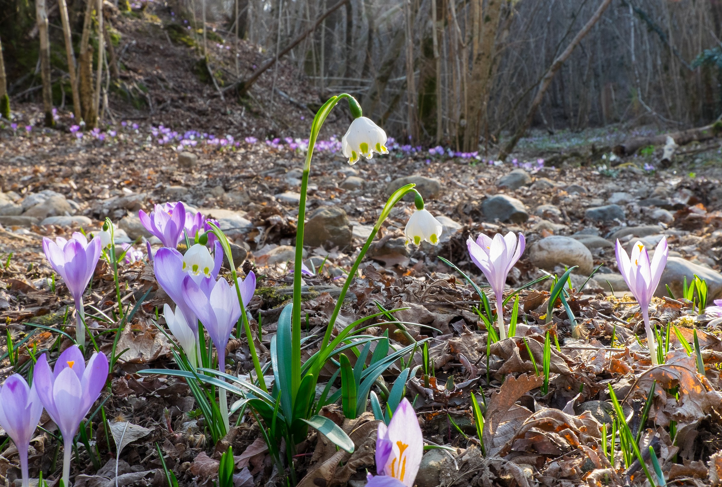 l'inverno sta finendo