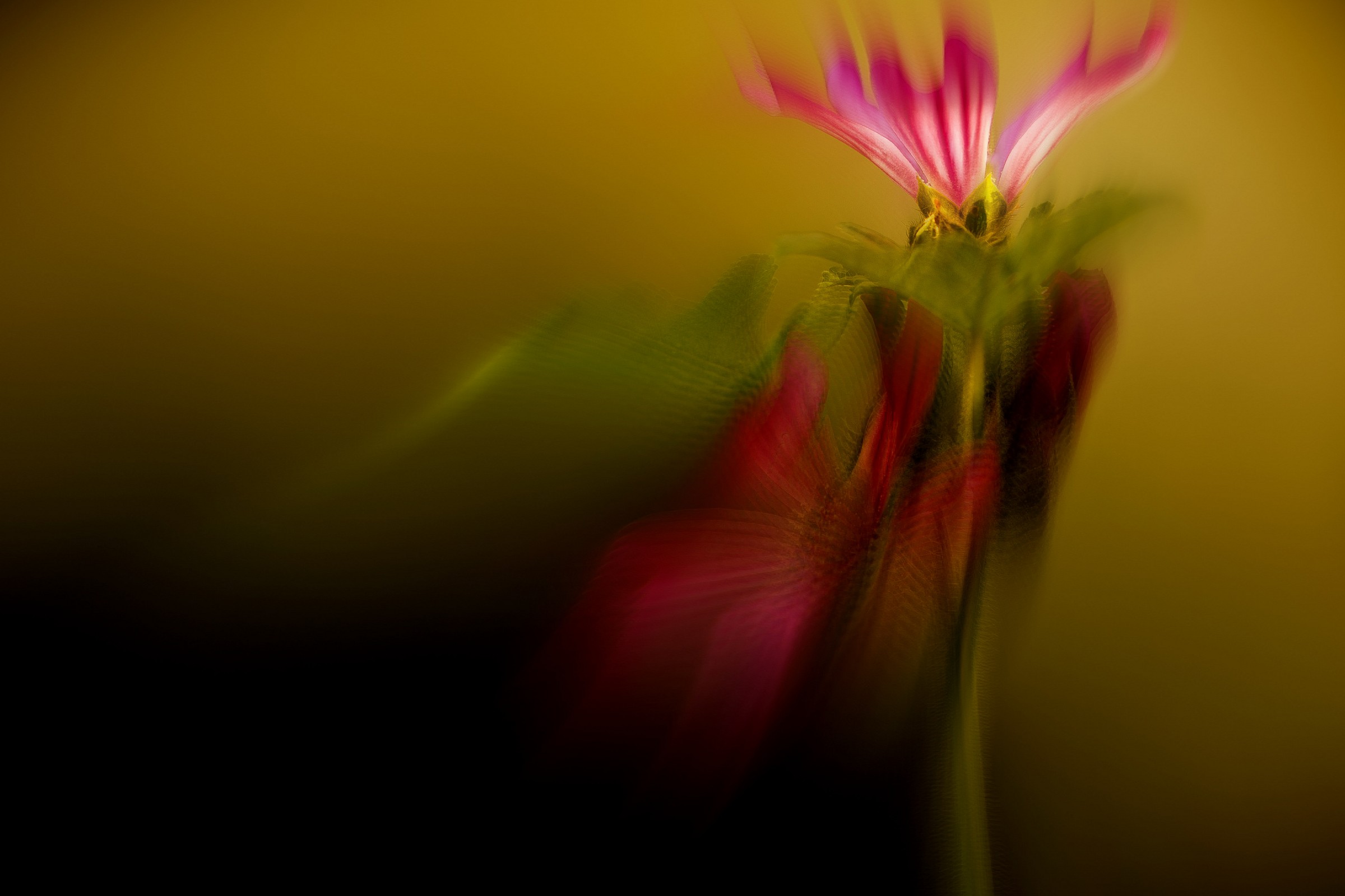 colored emotions.............