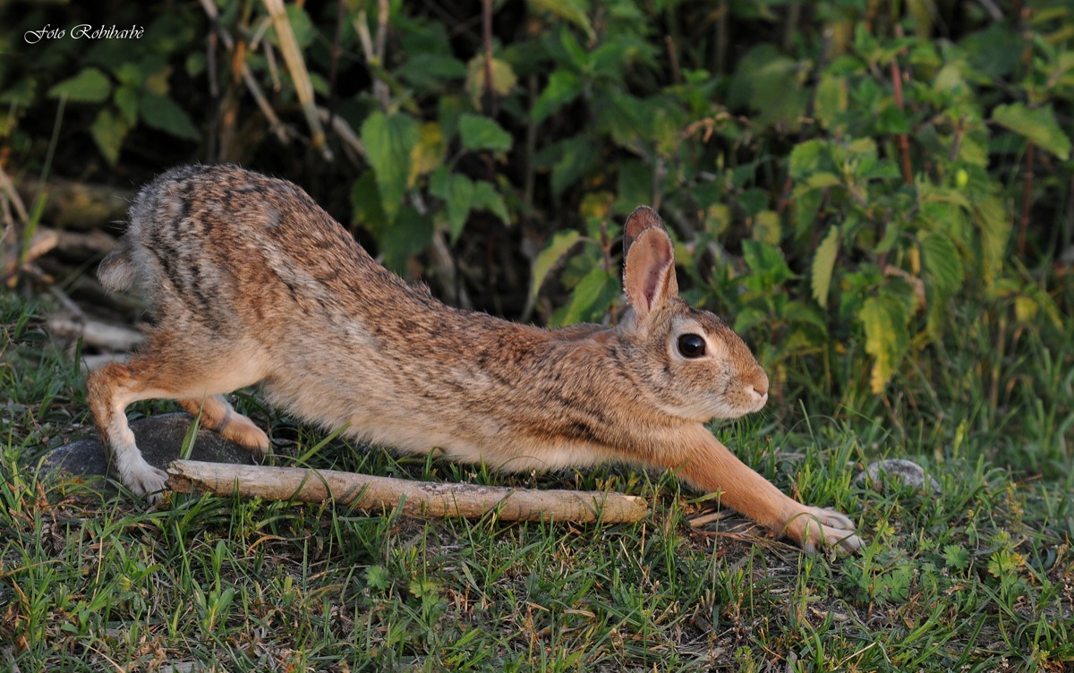 Stretching al tramonto....