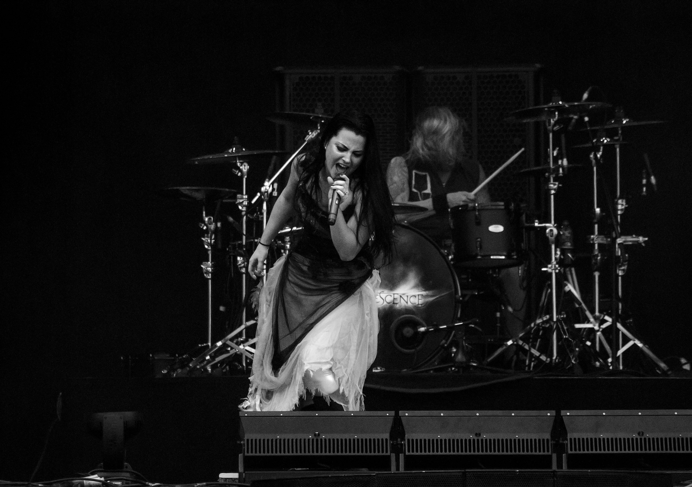 amy lee