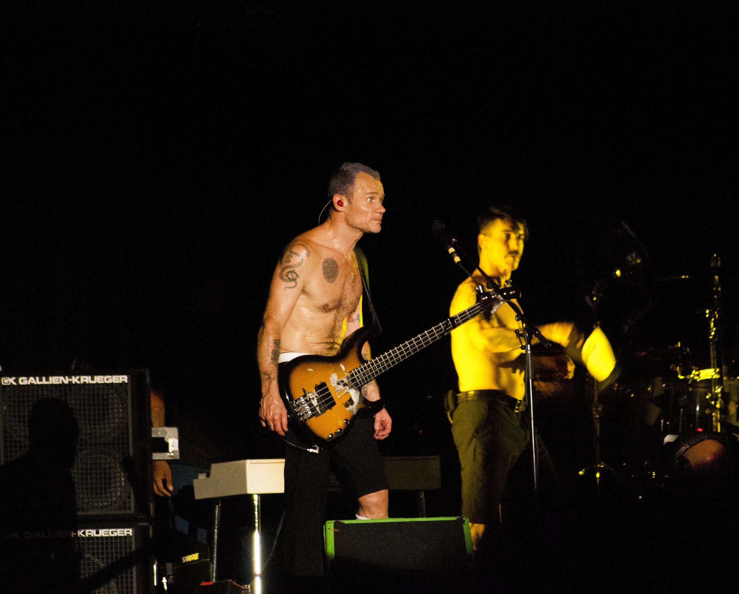flea