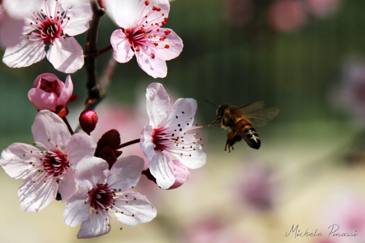 Pronti all'atterraggio
