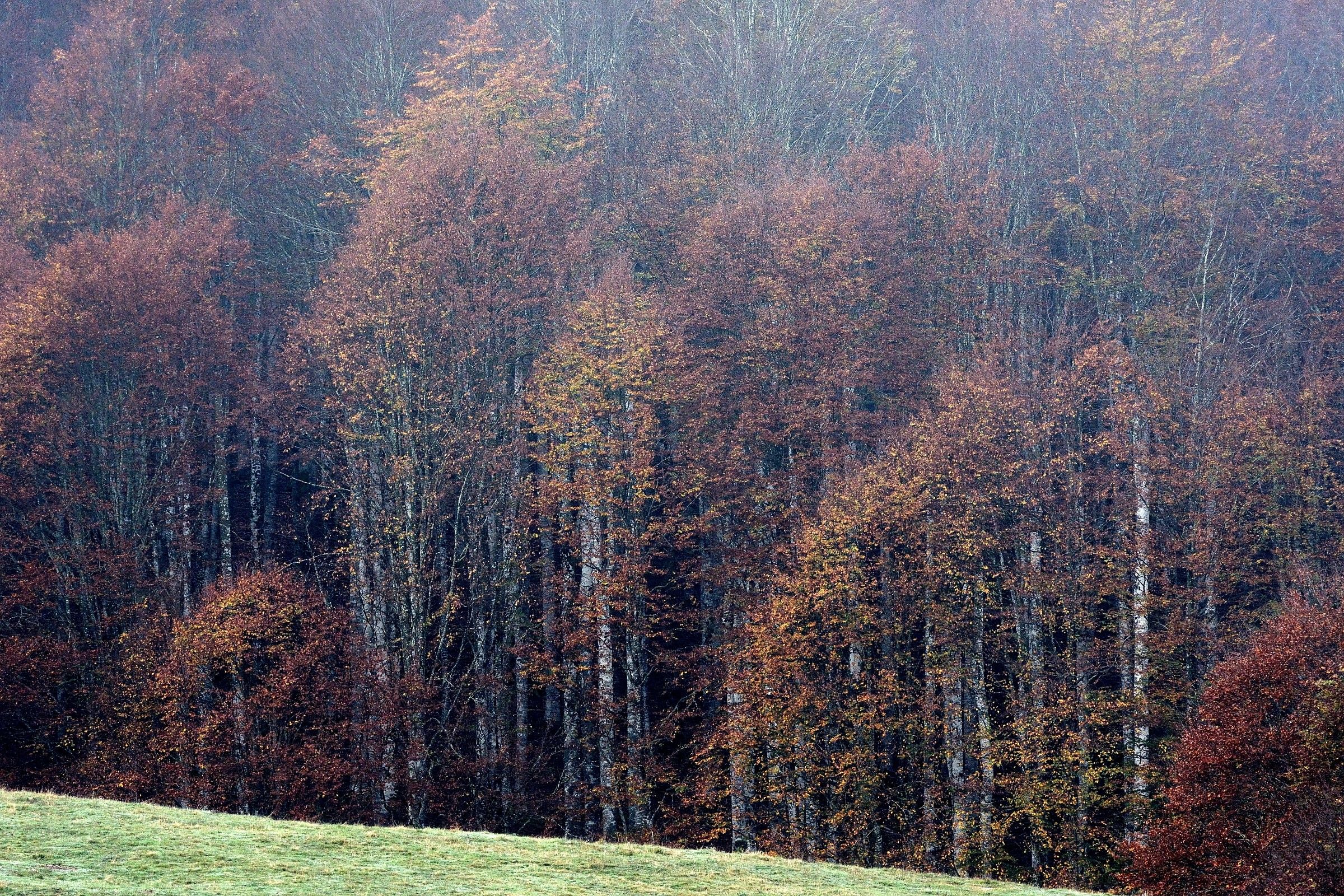 Colors and textures ....