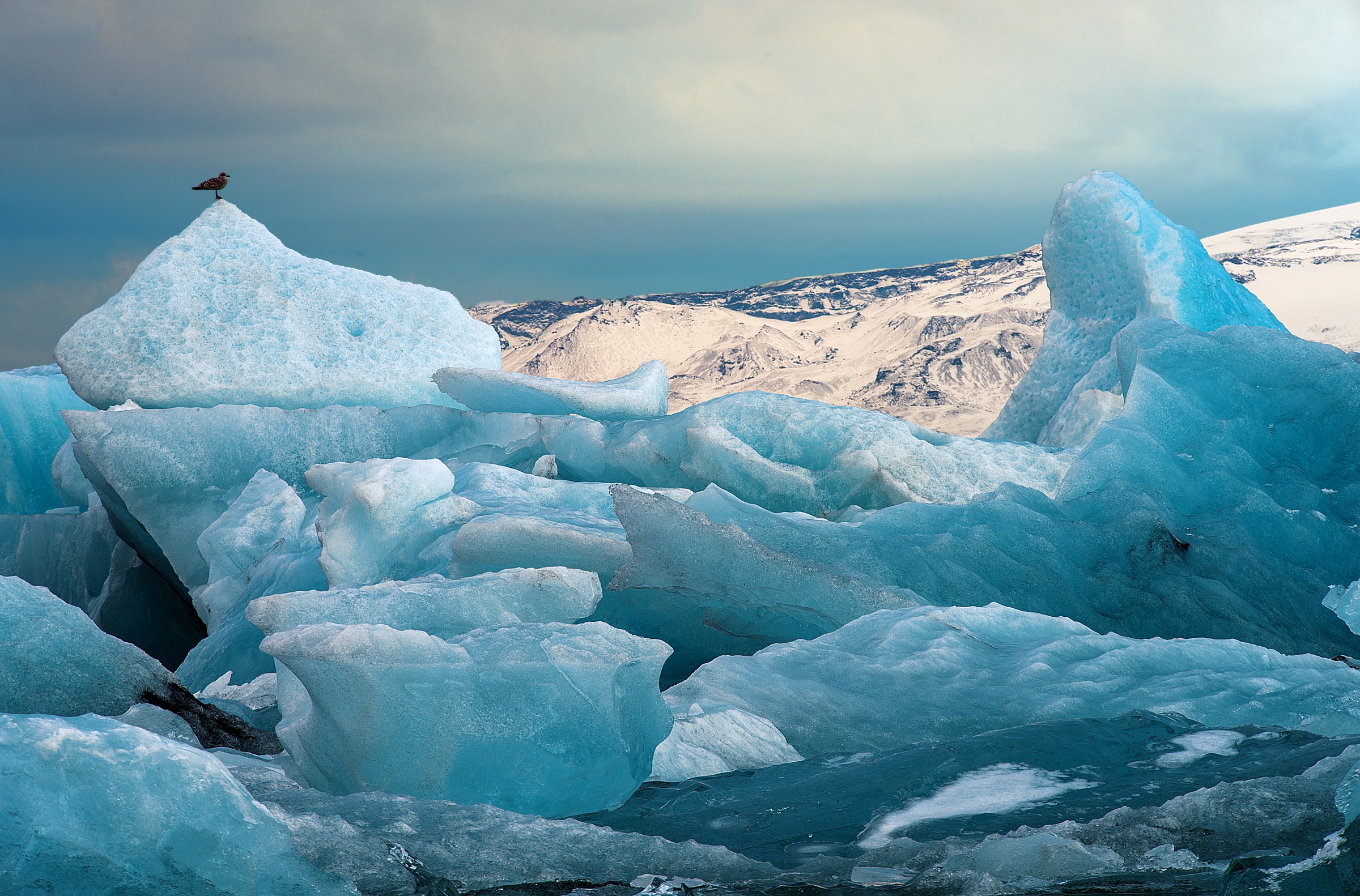 Solitary, in admiration