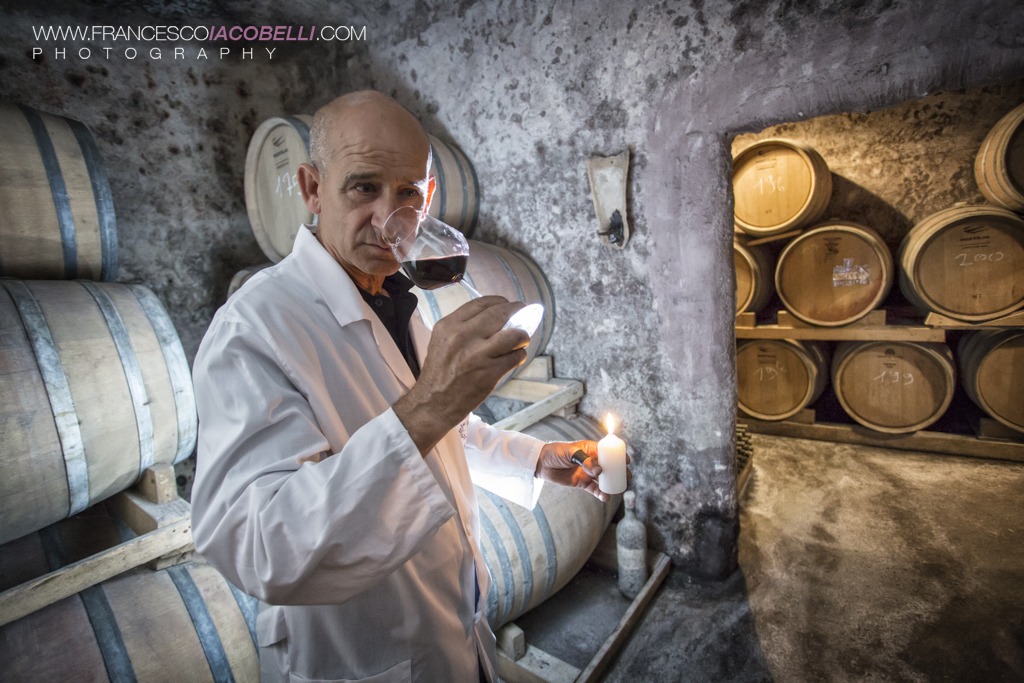 Cellar Negroamaro - Puglia