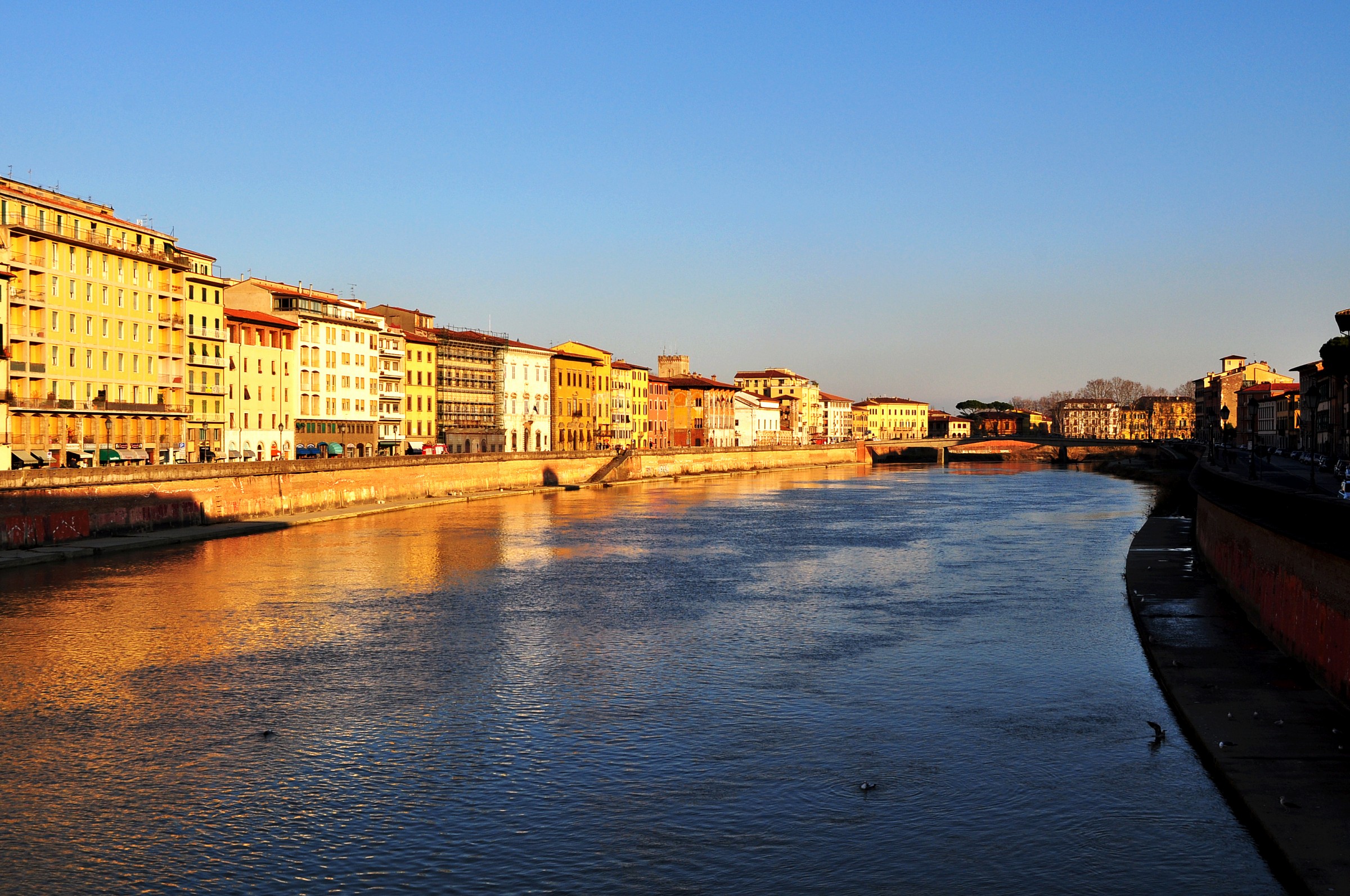 Arno