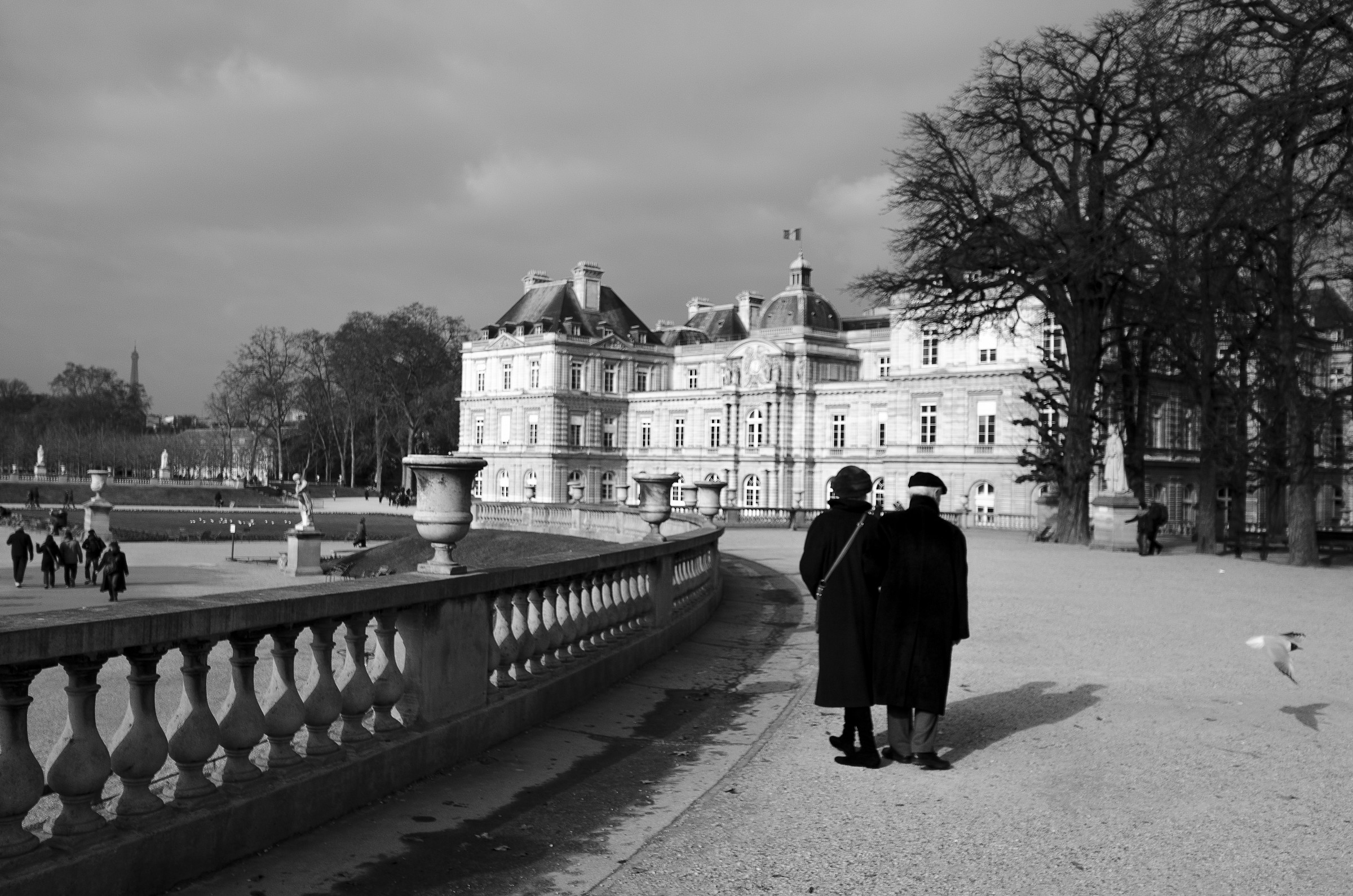 jardin du Luxembourg