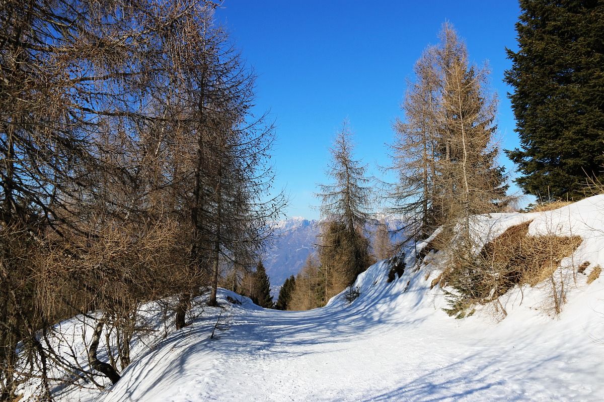 Nevegal - Località La Faverghera. Mese di marzo.