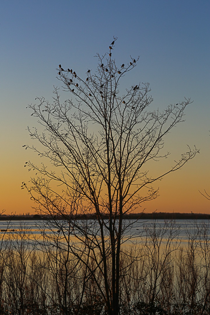 Sunset Valley Bertuzzi (Comacchio)