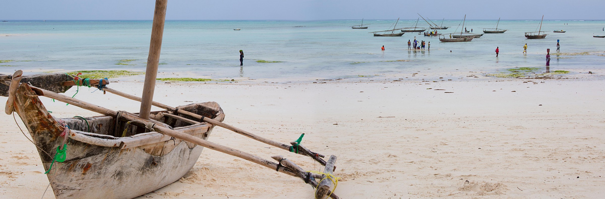 E in fondo batte l'Oceano