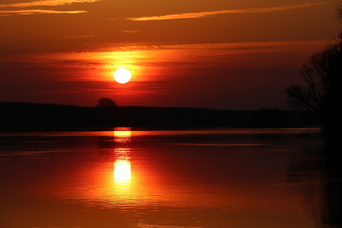 Il fiume Po e il suo Delta